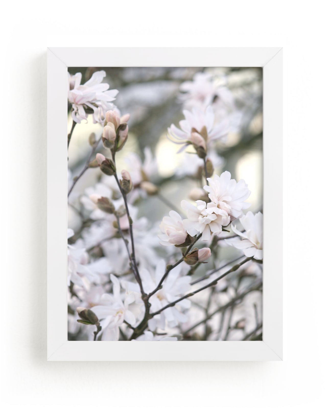 "Magnolia Blossoms" by Jayna B in beautiful frame options and a variety of sizes.