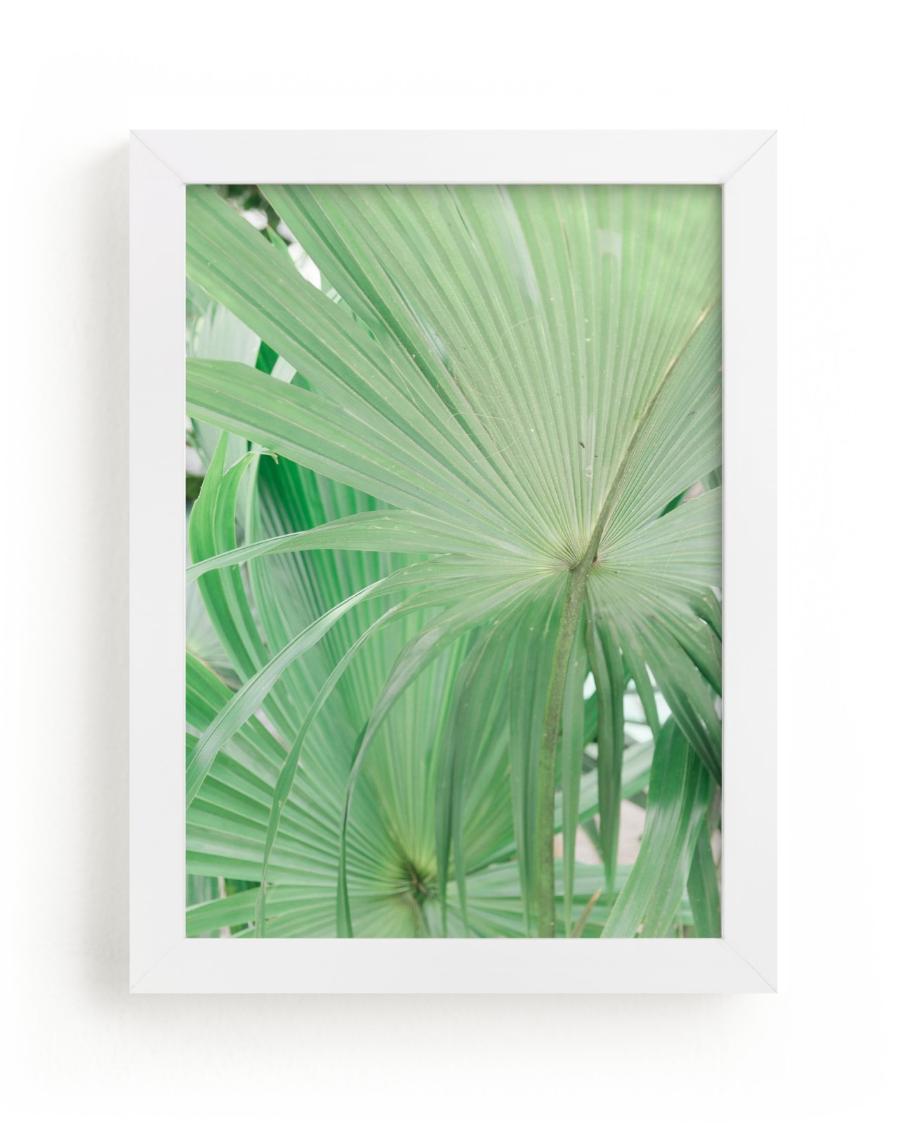 Yucatan VII