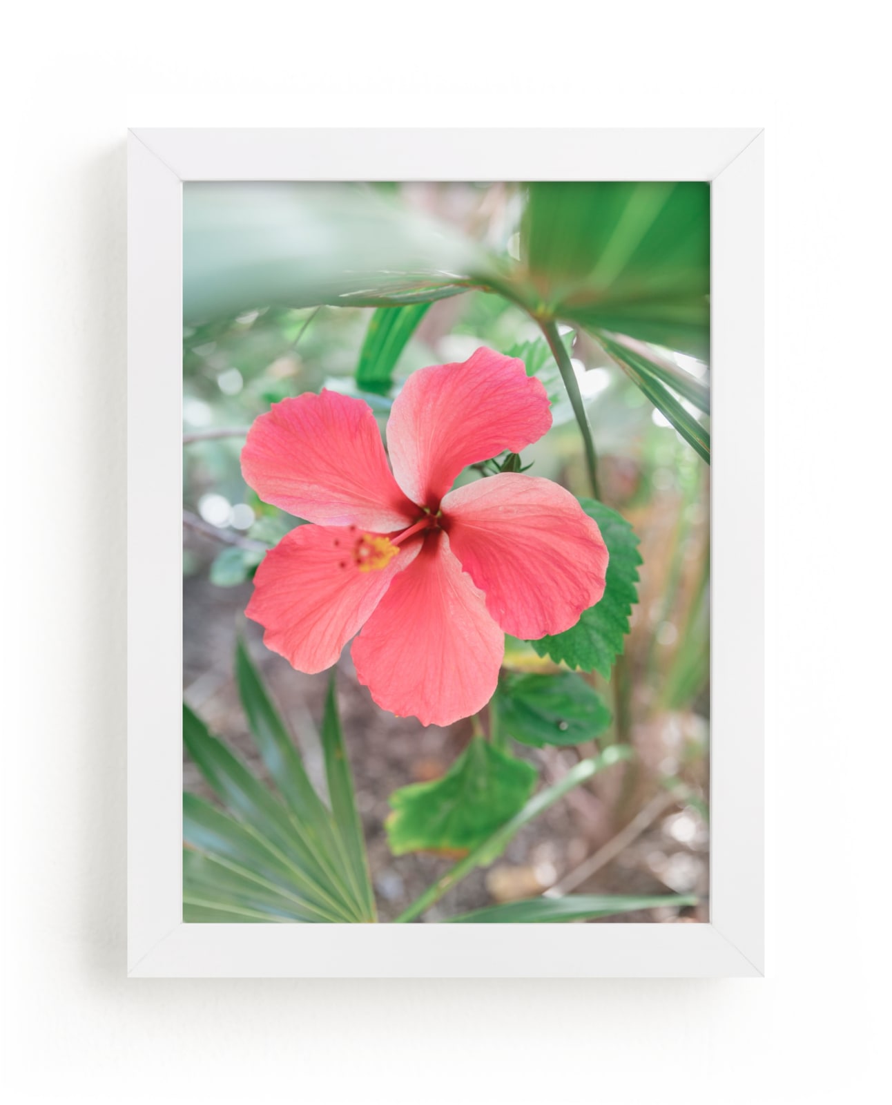 "Yucatan VIII" by Lindsay Ferraris Photography in beautiful frame options and a variety of sizes.