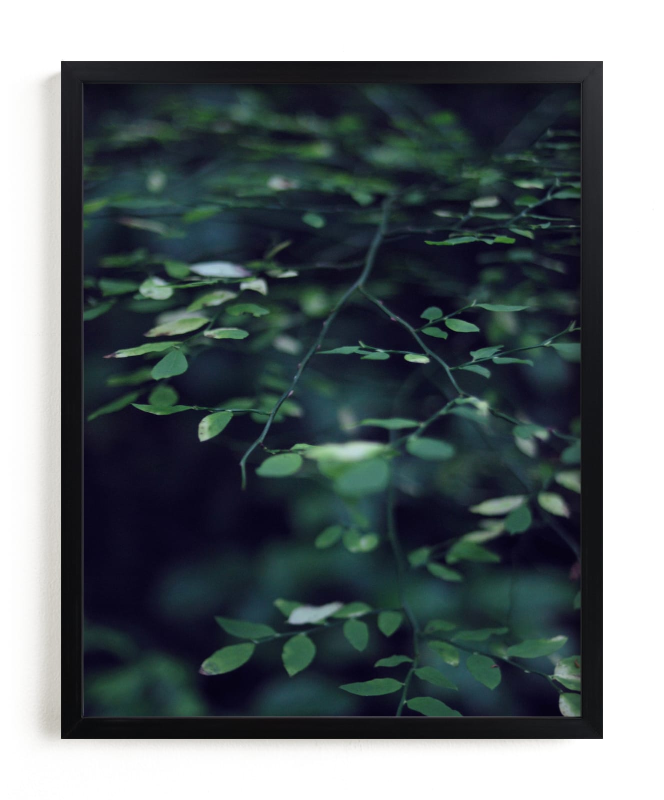 "Forest Focus" - Limited Edition Art Print by Satpreet K in beautiful frame options and a variety of sizes.