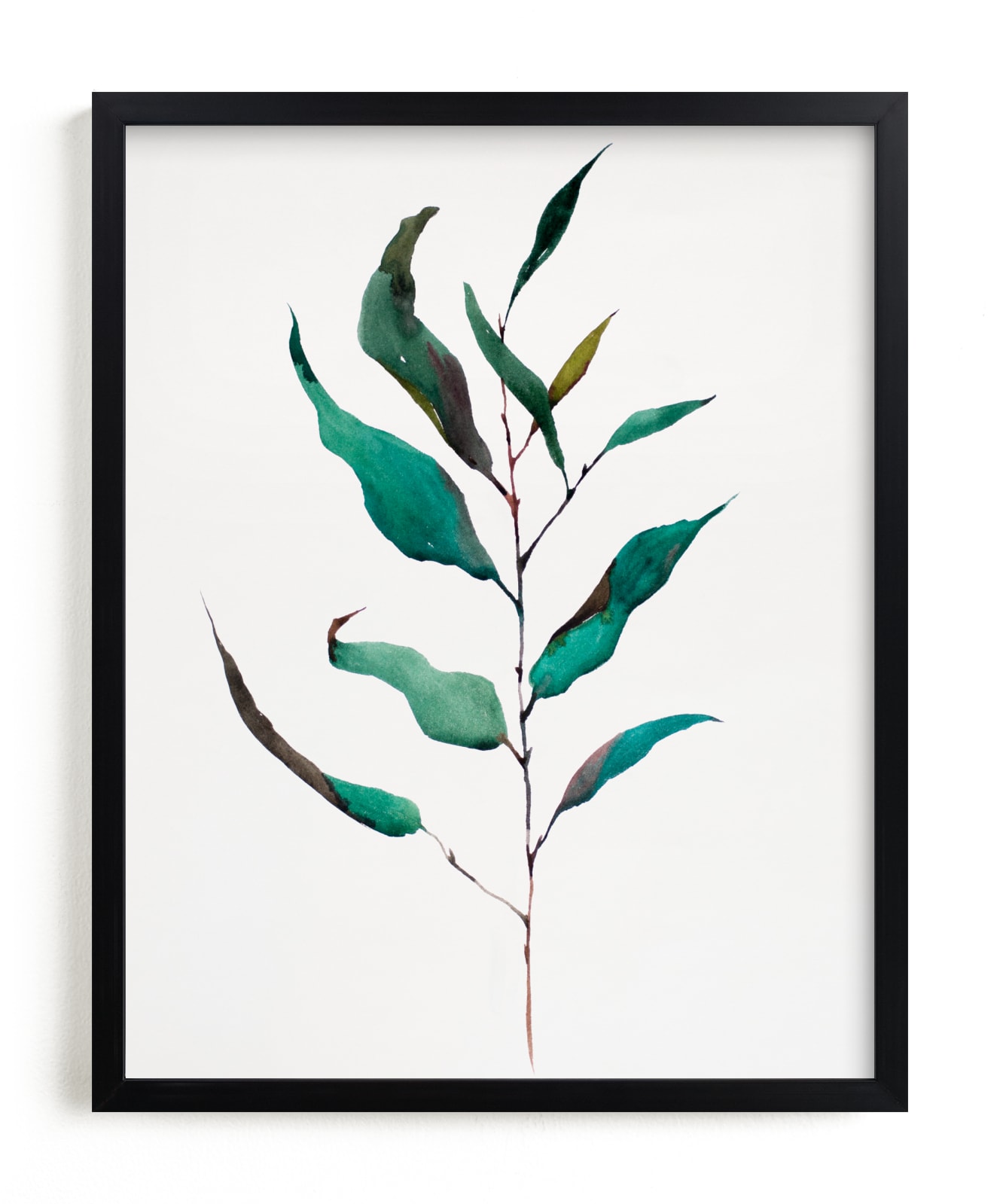 "Eucalyptus Foliage" - Limited Edition Art Print by jinseikou in beautiful frame options and a variety of sizes.