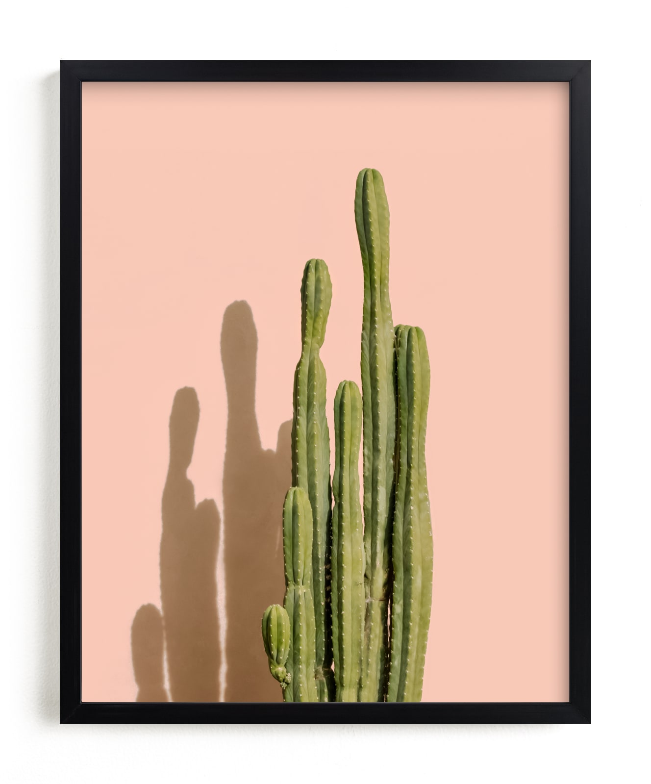 "Palm Desert Cactus" - Open Edition Fine Art Print by Lisa Sundin in beautiful frame options and a variety of sizes.