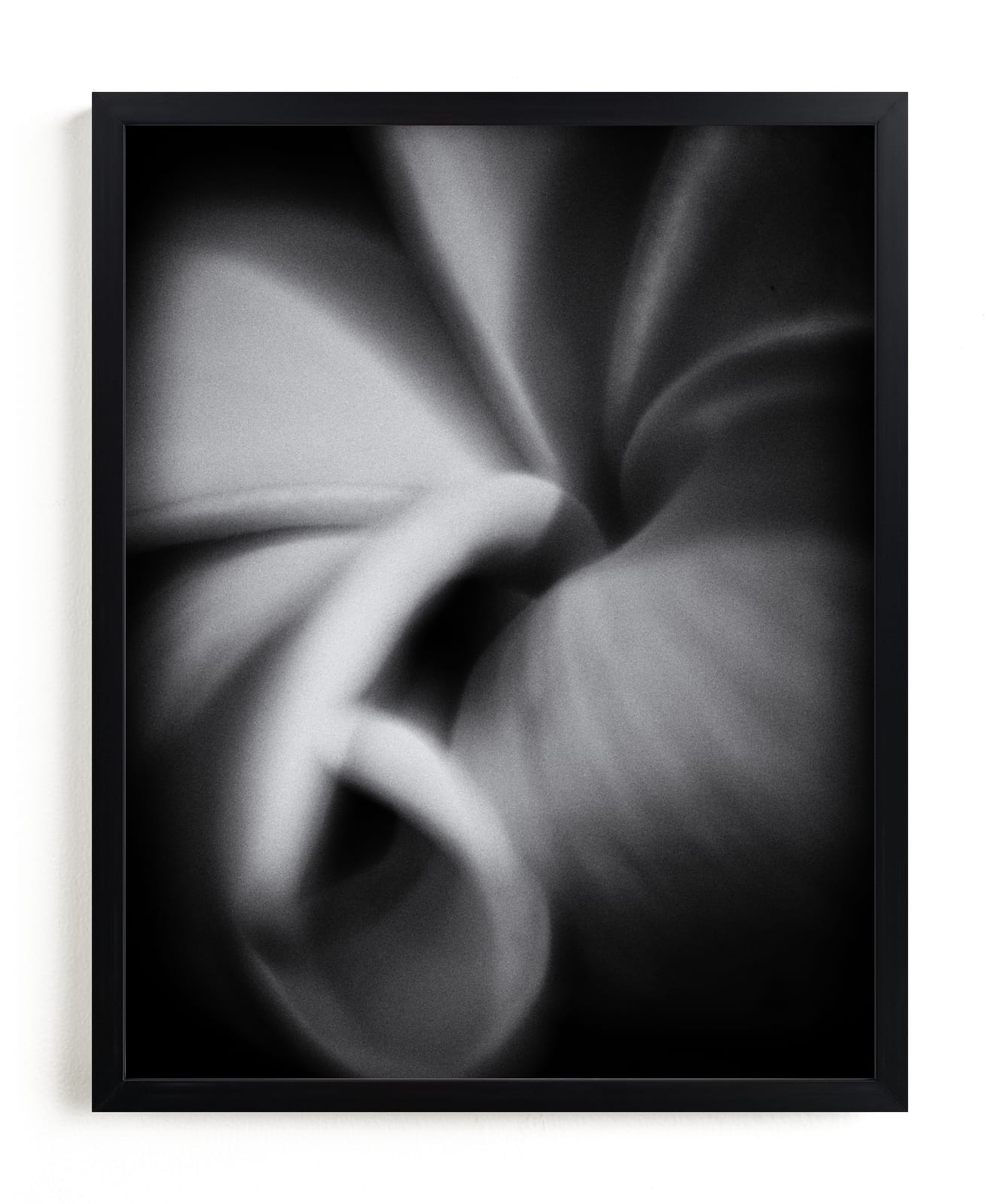 "Frangipani" by flvx studio in beautiful frame options and a variety of sizes.