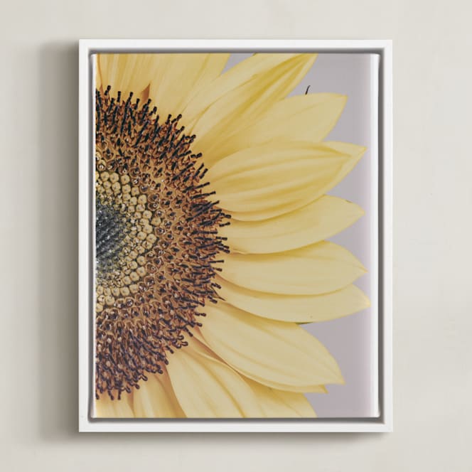 "Half Sunflower" - Art Print in soft yellow by Alexis Arnold - Framed Canvas