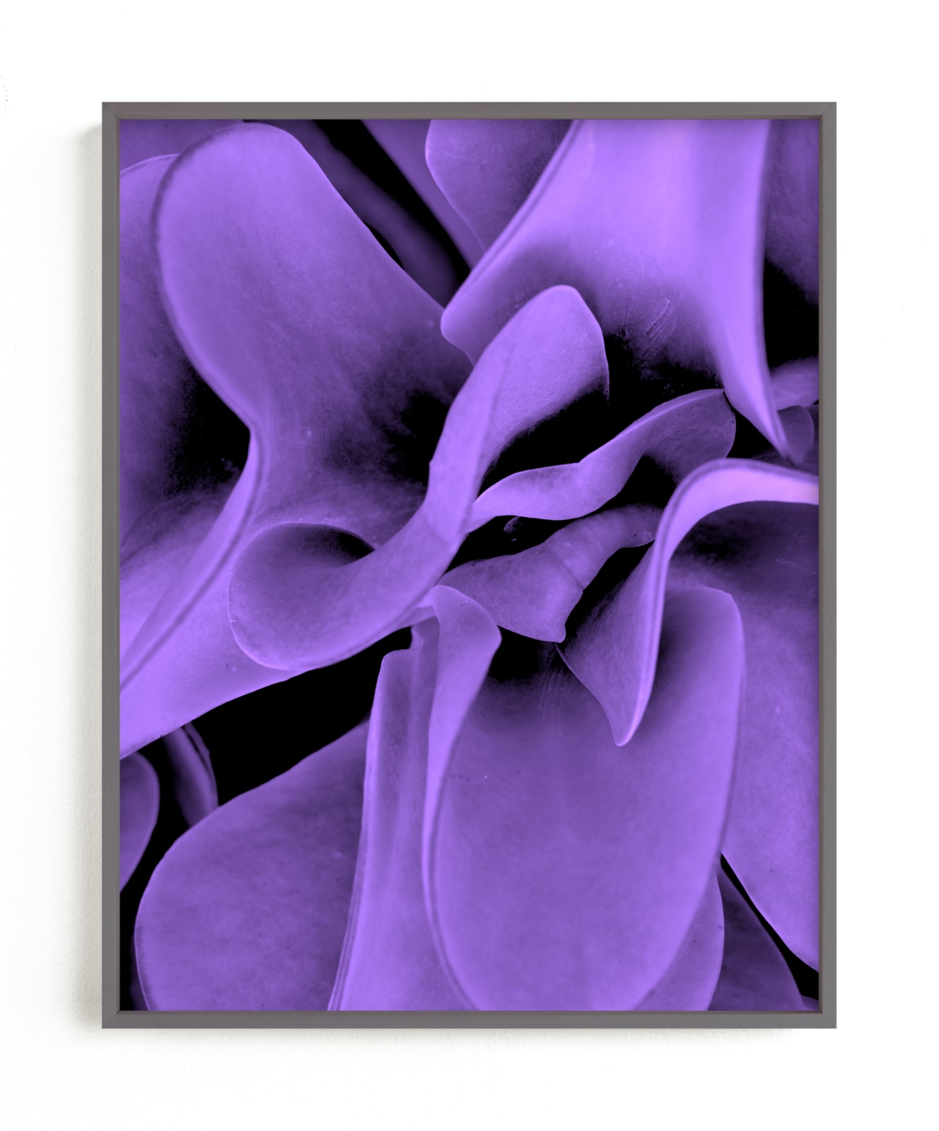 "Amethyst & Sapphire (Amethyst)" by Jonathan Brooks in beautiful frame options and a variety of sizes.