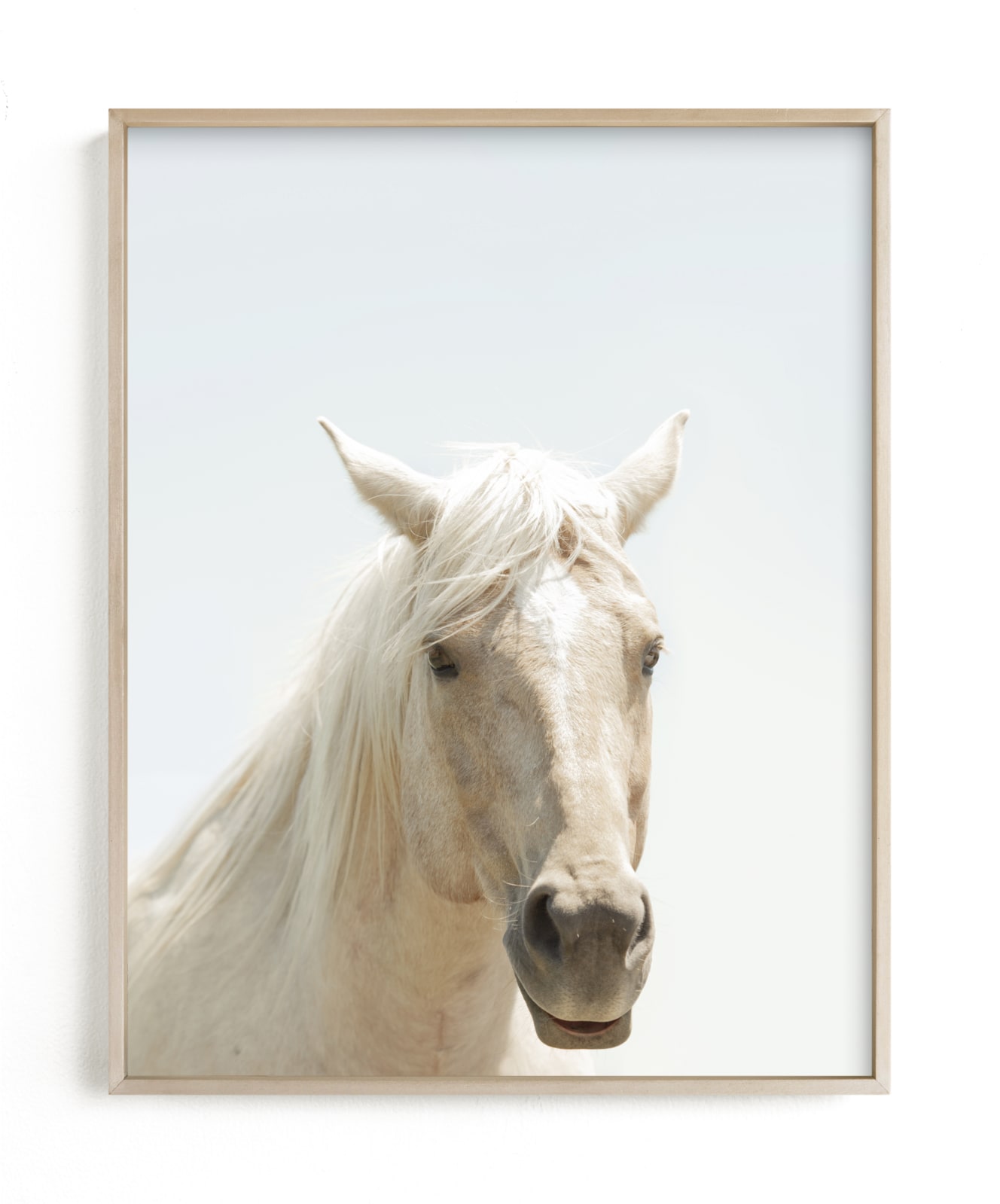 "Horse Series Nº1" by Anne Ciotola in beautiful frame options and a variety of sizes.