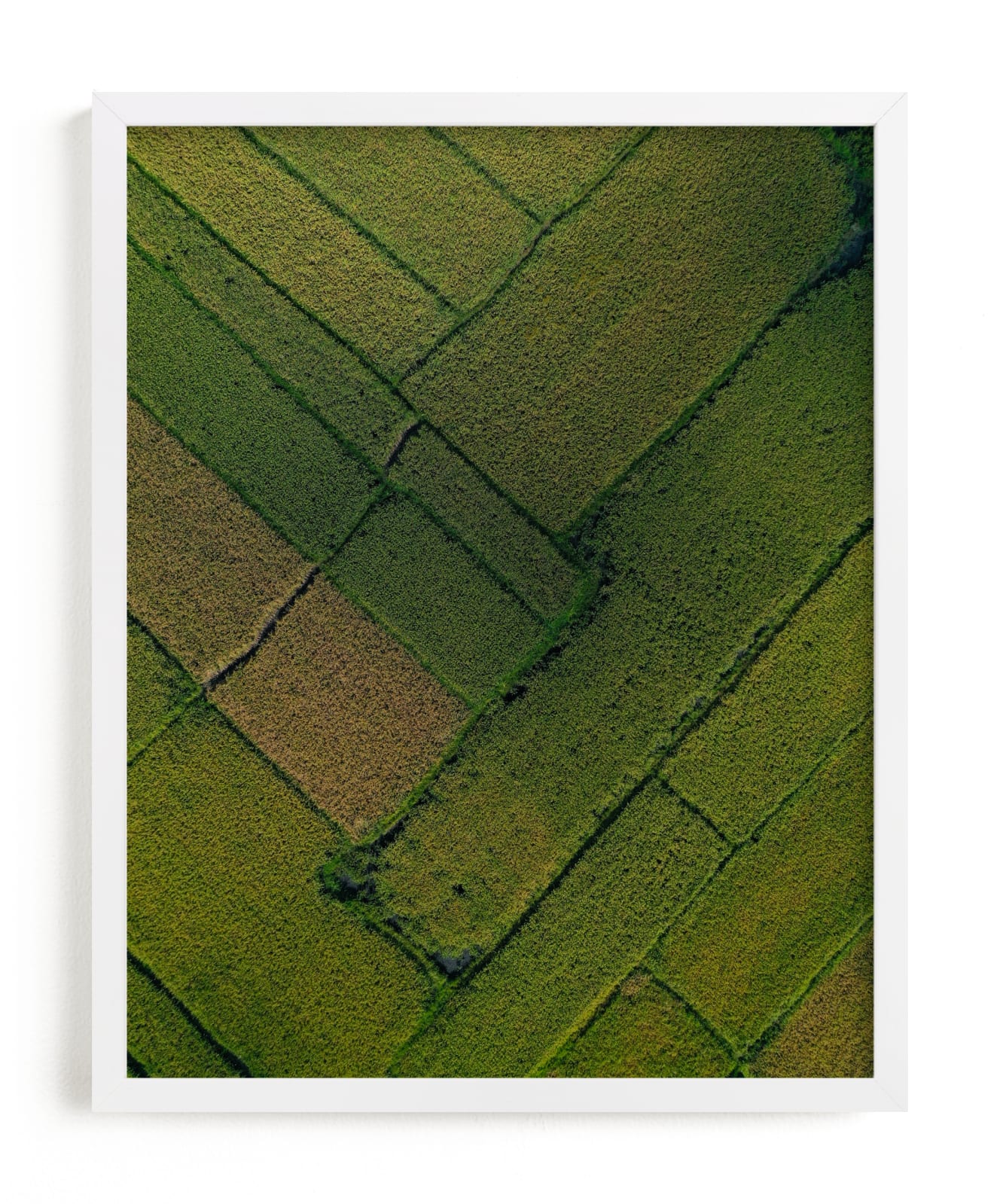 "Above the Paddy" - Limited Edition Art Print by Alaric Yanos in beautiful frame options and a variety of sizes.