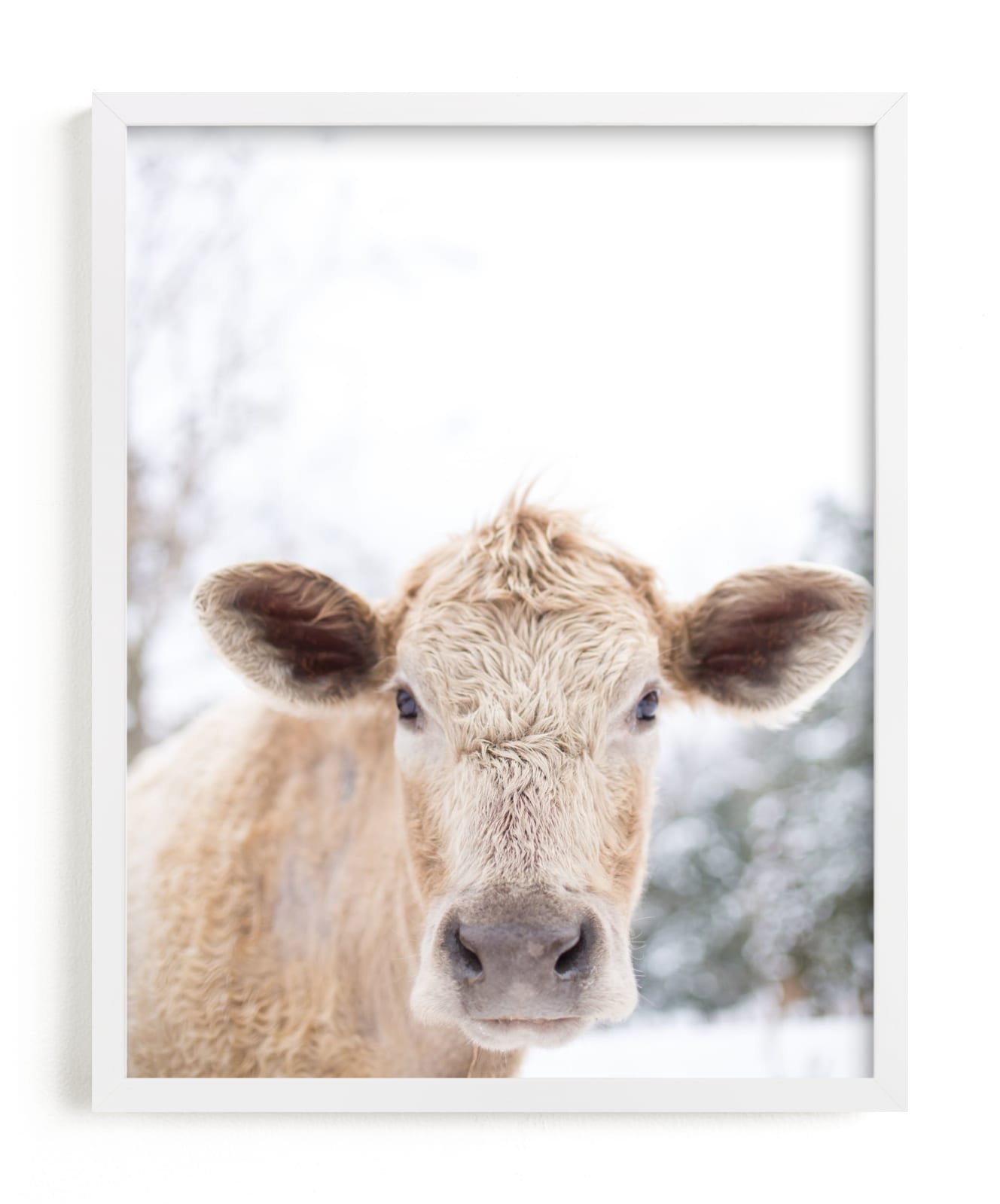 "moo cow" - Limited Edition Art Print by Emily Gilbert in beautiful frame options and a variety of sizes.