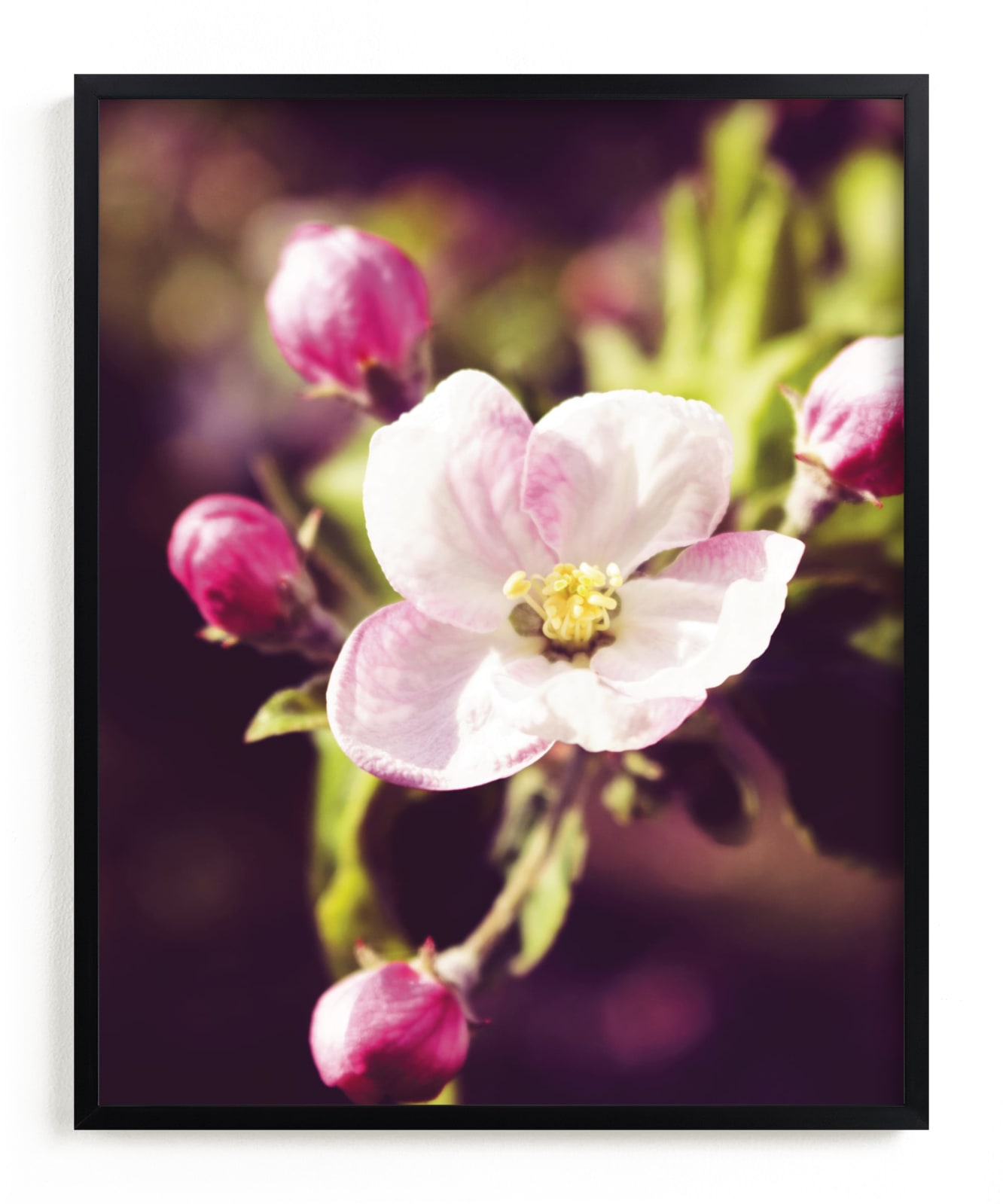 "Pink Apple Blossoms in Spring" - Art Print by Katrina Lindhorst in beautiful frame options and a variety of sizes.