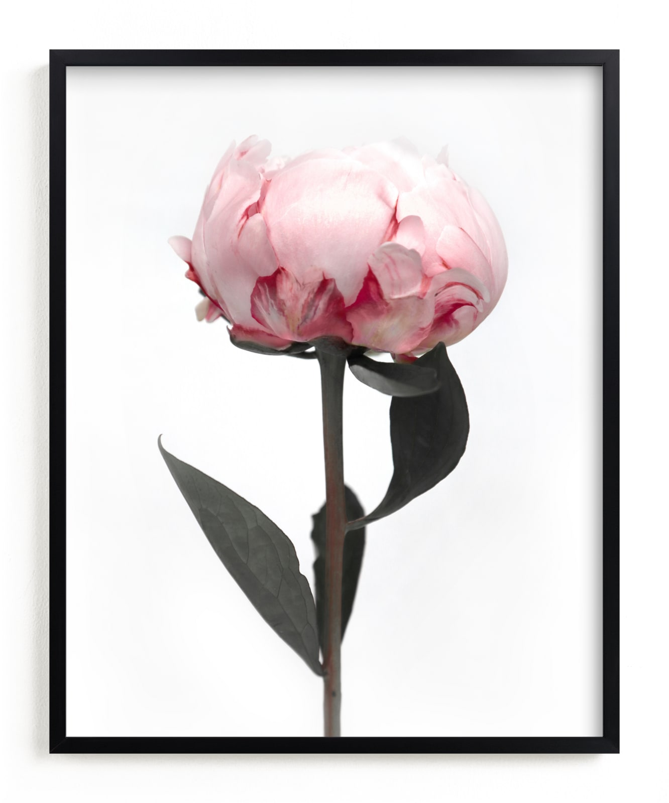 "Peonia" by Rosana Laiz Blursbyai in beautiful frame options and a variety of sizes.
