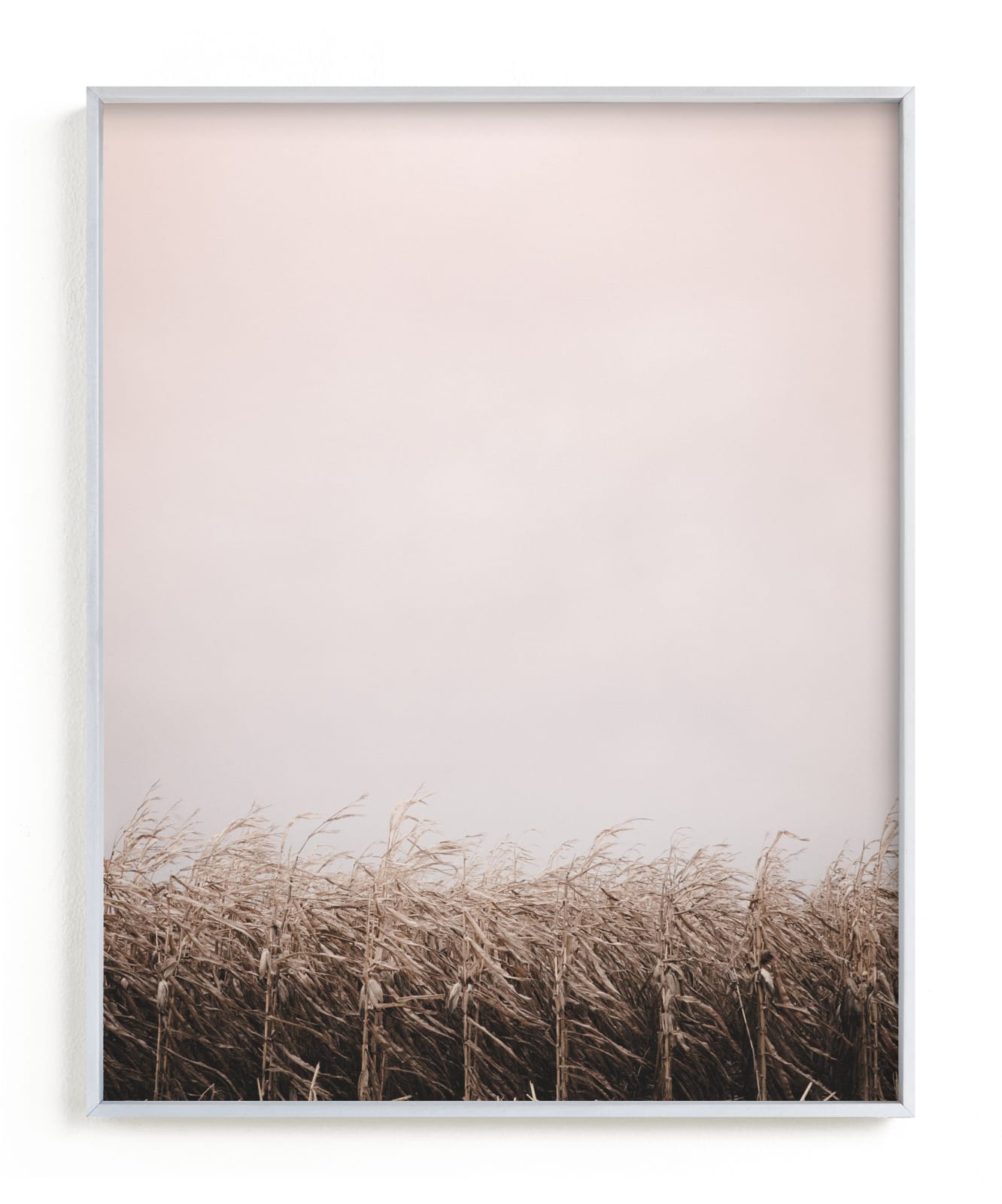 "Late Harvest" - Limited Edition Art Print by Robin Ott in beautiful frame options and a variety of sizes.