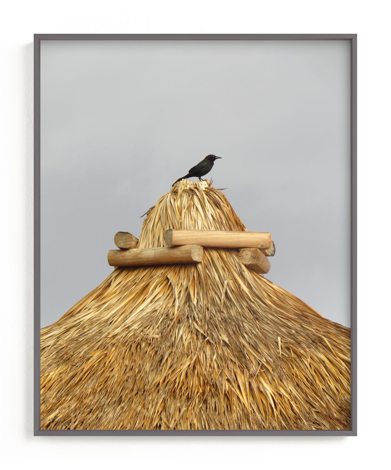 "Tiki Blackbird" by Jonathan Brooks in beautiful frame options and a variety of sizes.