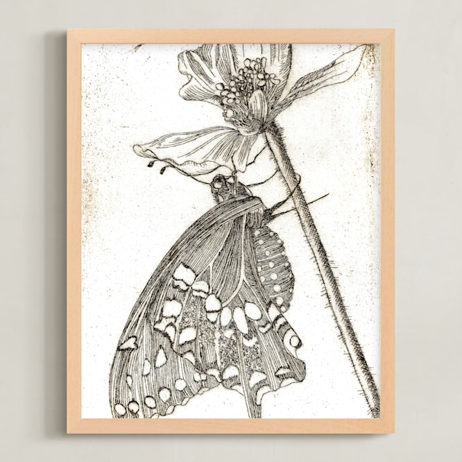 Papillon et Papaver