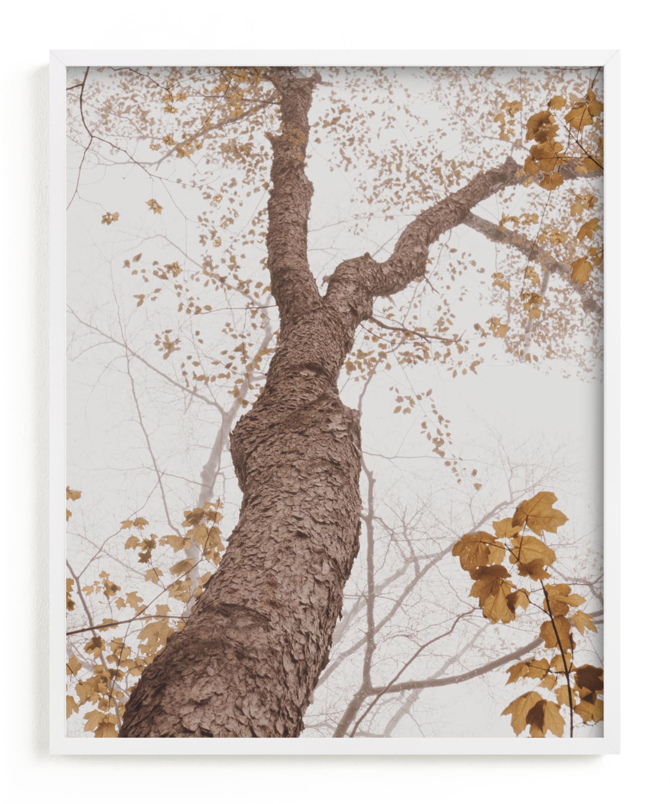 "Be Still I" - Limited Edition Art Print by Robin Ott in beautiful frame options and a variety of sizes.