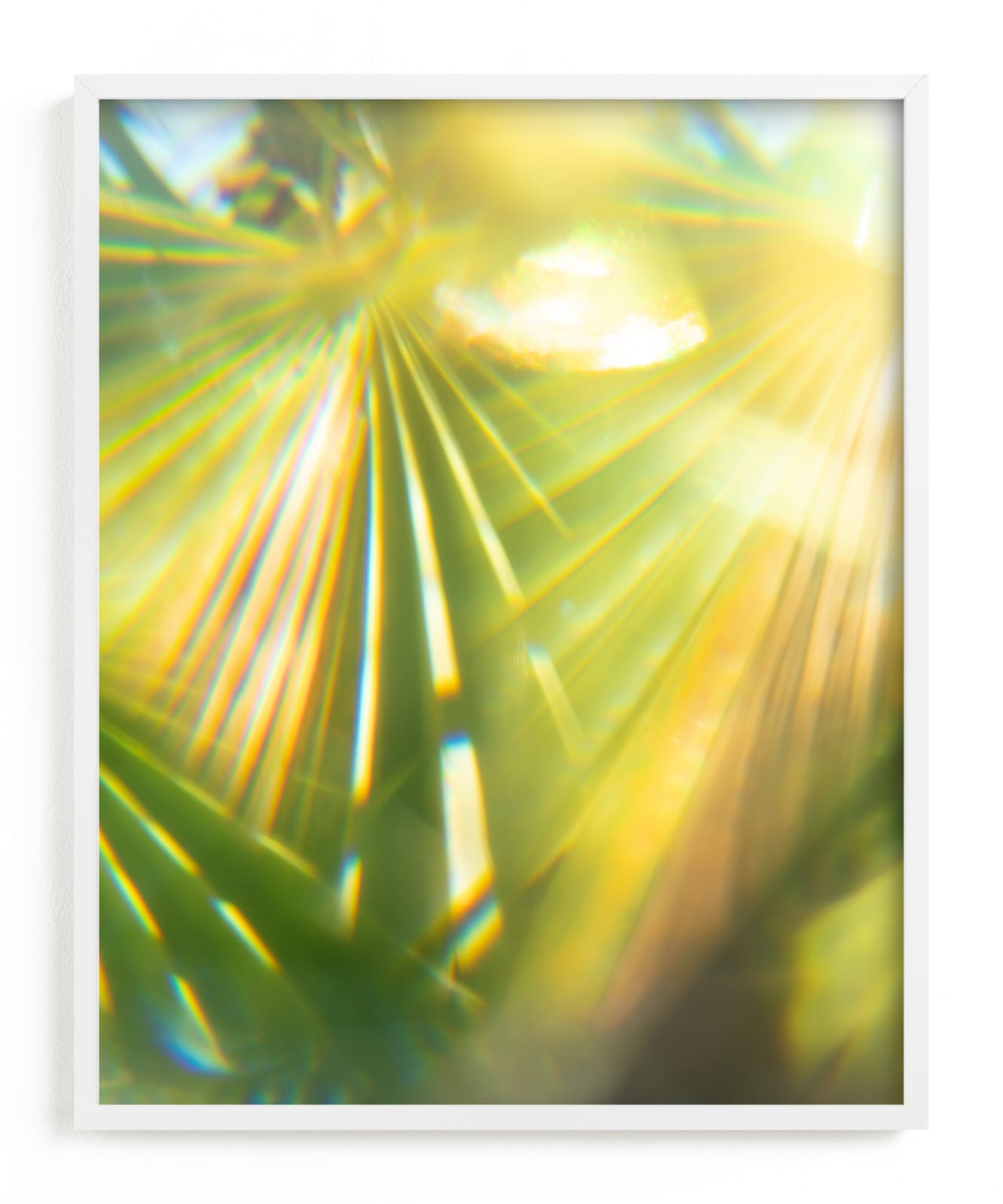 "Palm Fronds" - Limited Edition Art Print by Tommy Kwak in beautiful frame options and a variety of sizes.