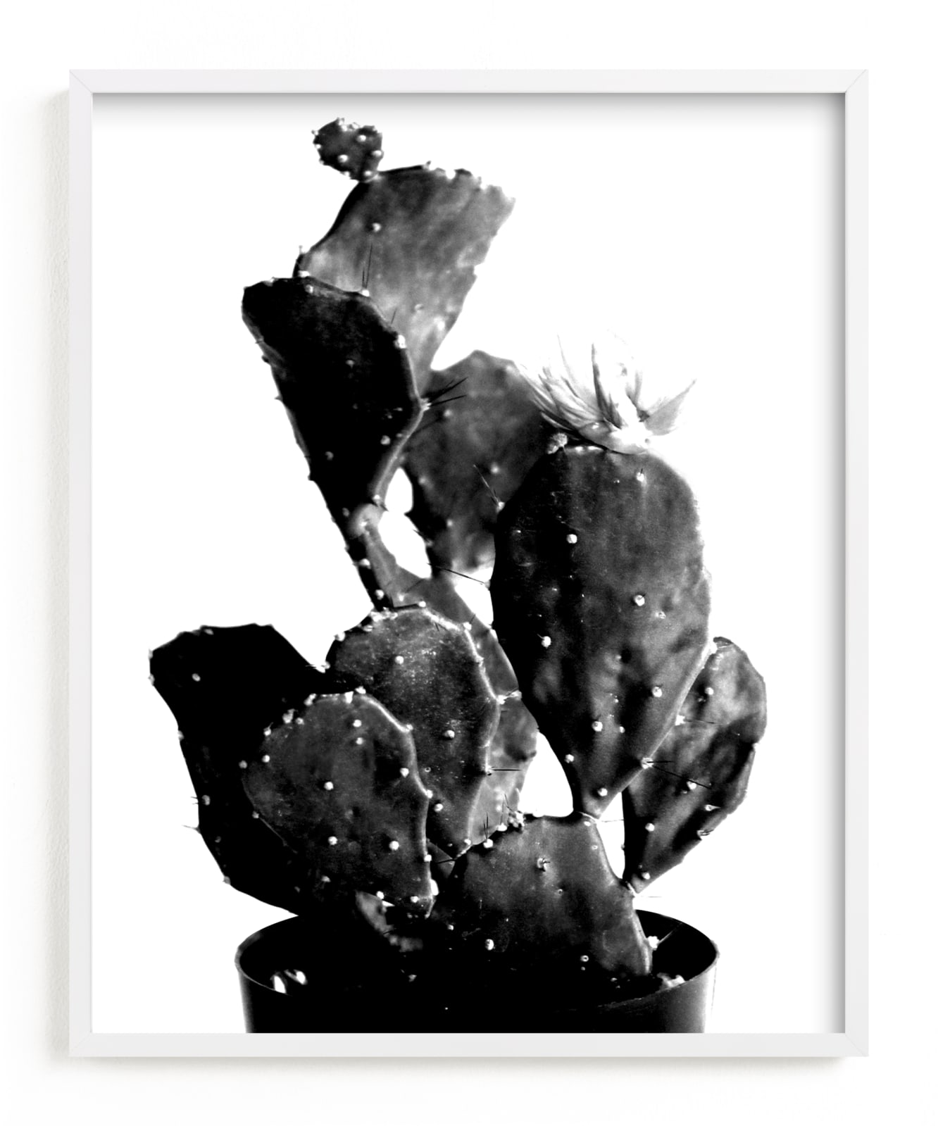 "black cactus" - Limited Edition Art Print by Baumbirdy in beautiful frame options and a variety of sizes.
