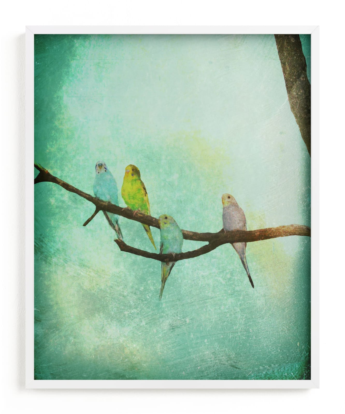 "Budgie Branch II" - Art Print by Red Impressionz in beautiful frame options and a variety of sizes.