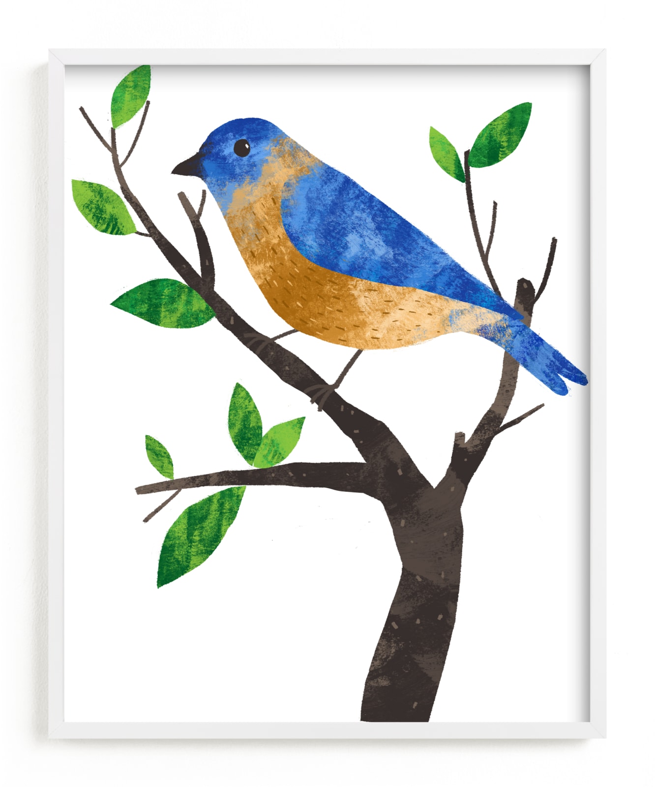 "Eastern Bluebird" - Art Print by Alf and Auguri in beautiful frame options and a variety of sizes.