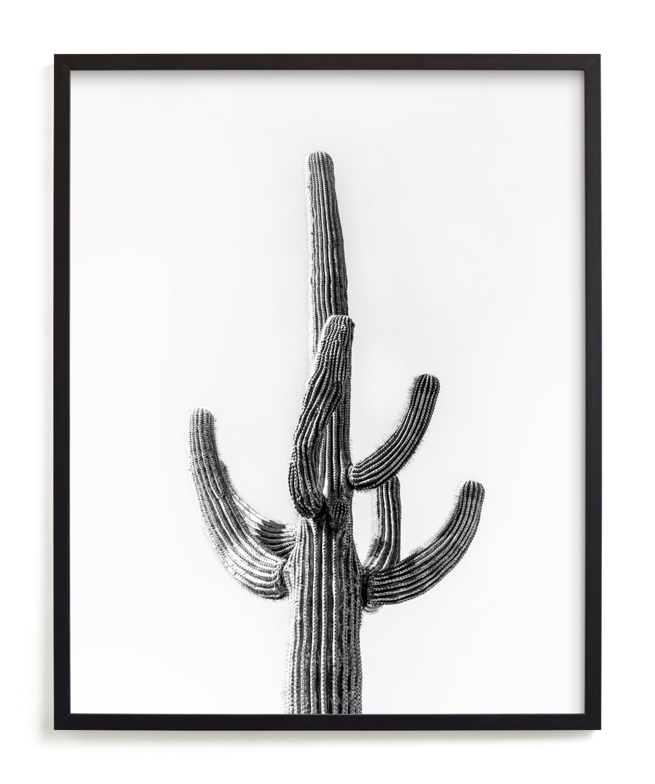 "Lone Cactus" - Limited Edition Art Print by Ellen Schlegelmilch in beautiful frame options and a variety of sizes.