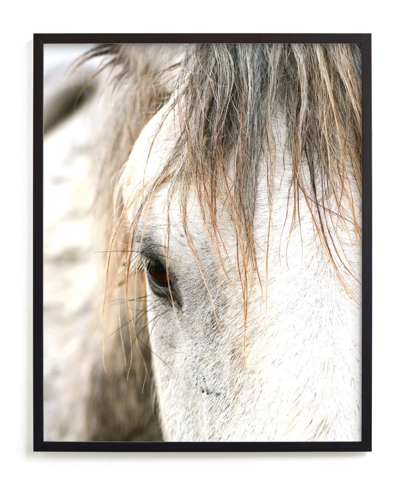 "Wild Horse Eye" - Limited Edition Art Print by Michelle Detering in beautiful frame options and a variety of sizes.
