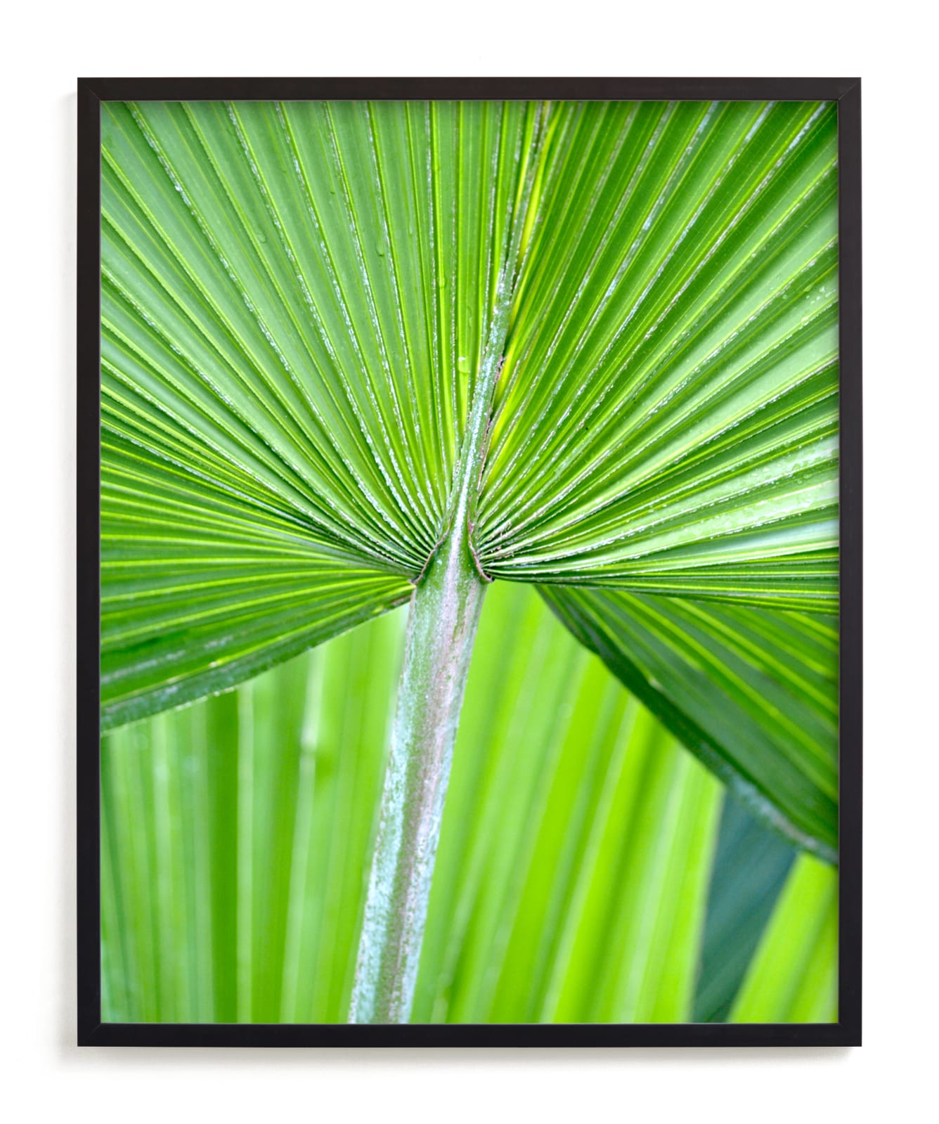 "Botanic 2" - Limited Edition Art Print by Stellax Creative in beautiful frame options and a variety of sizes.