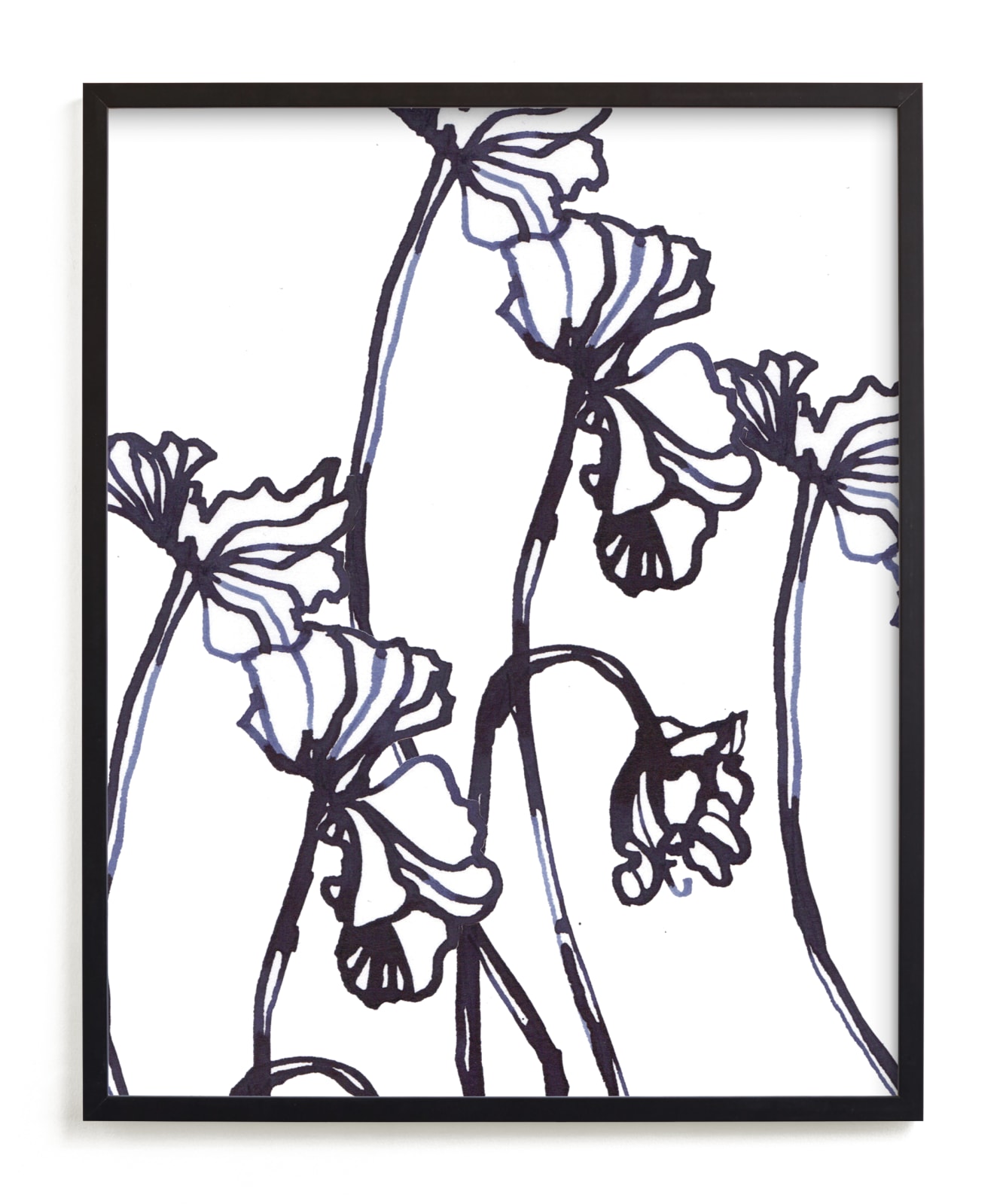 "Ink Cyclamen" - Limited Edition Art Print by Sonal Nathwani in beautiful frame options and a variety of sizes.