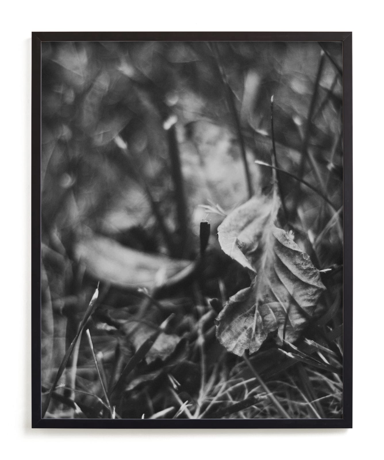 "Beneath Your Feet" - Art Print in Black and White by Catherine Culvenor - Framed
