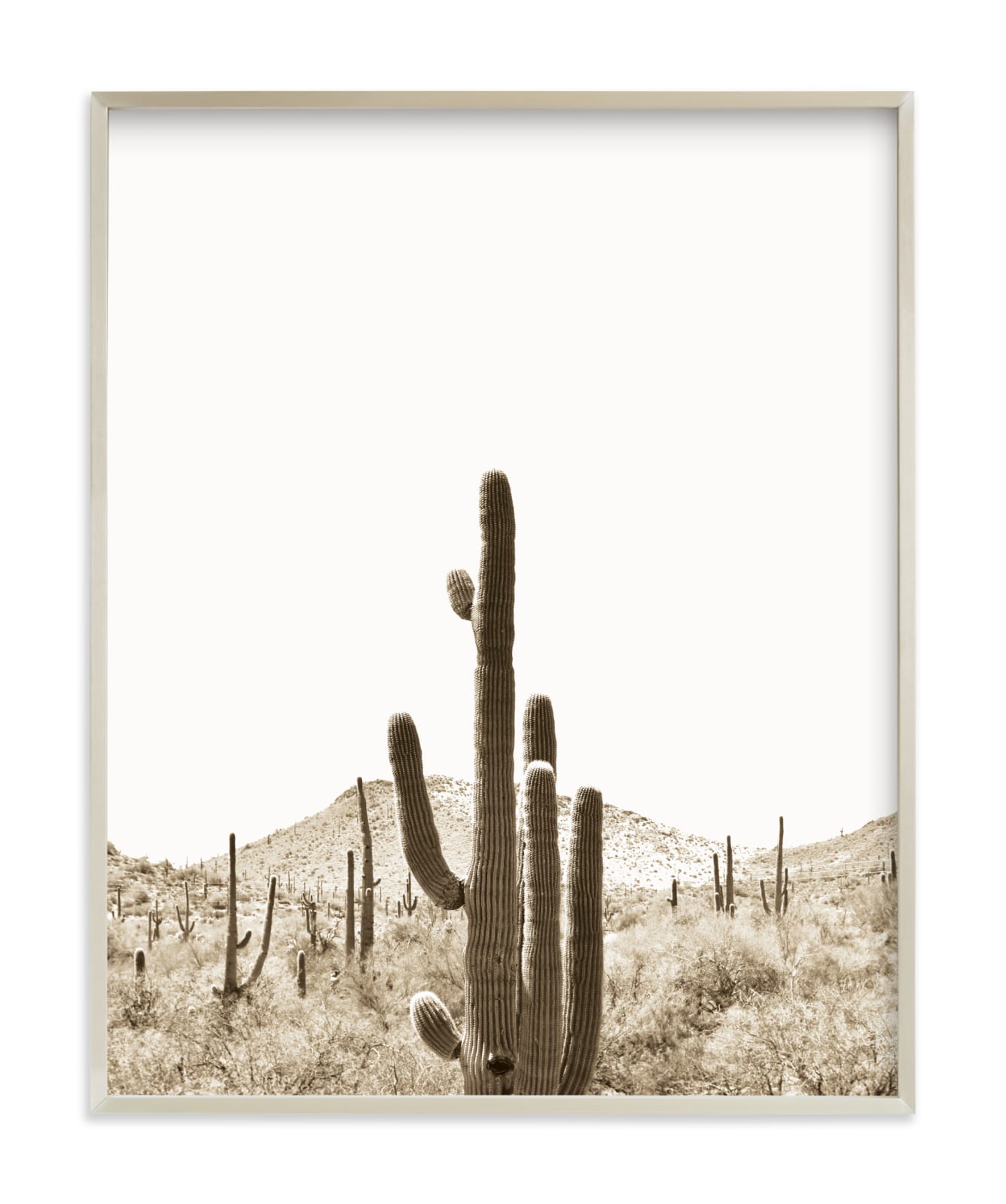 "Desert Cacti 1" by Lisa Assenmacher in beautiful frame options and a variety of sizes.