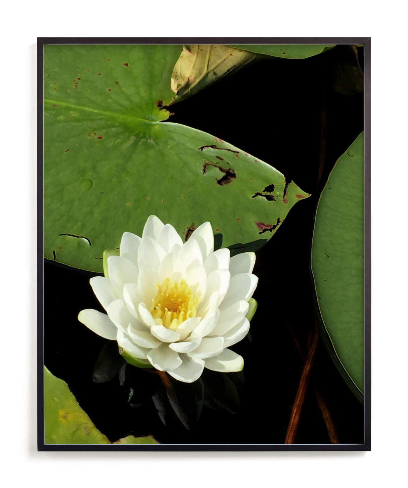 "Water Whimsy" by Janelle Wourms in beautiful frame options and a variety of sizes.