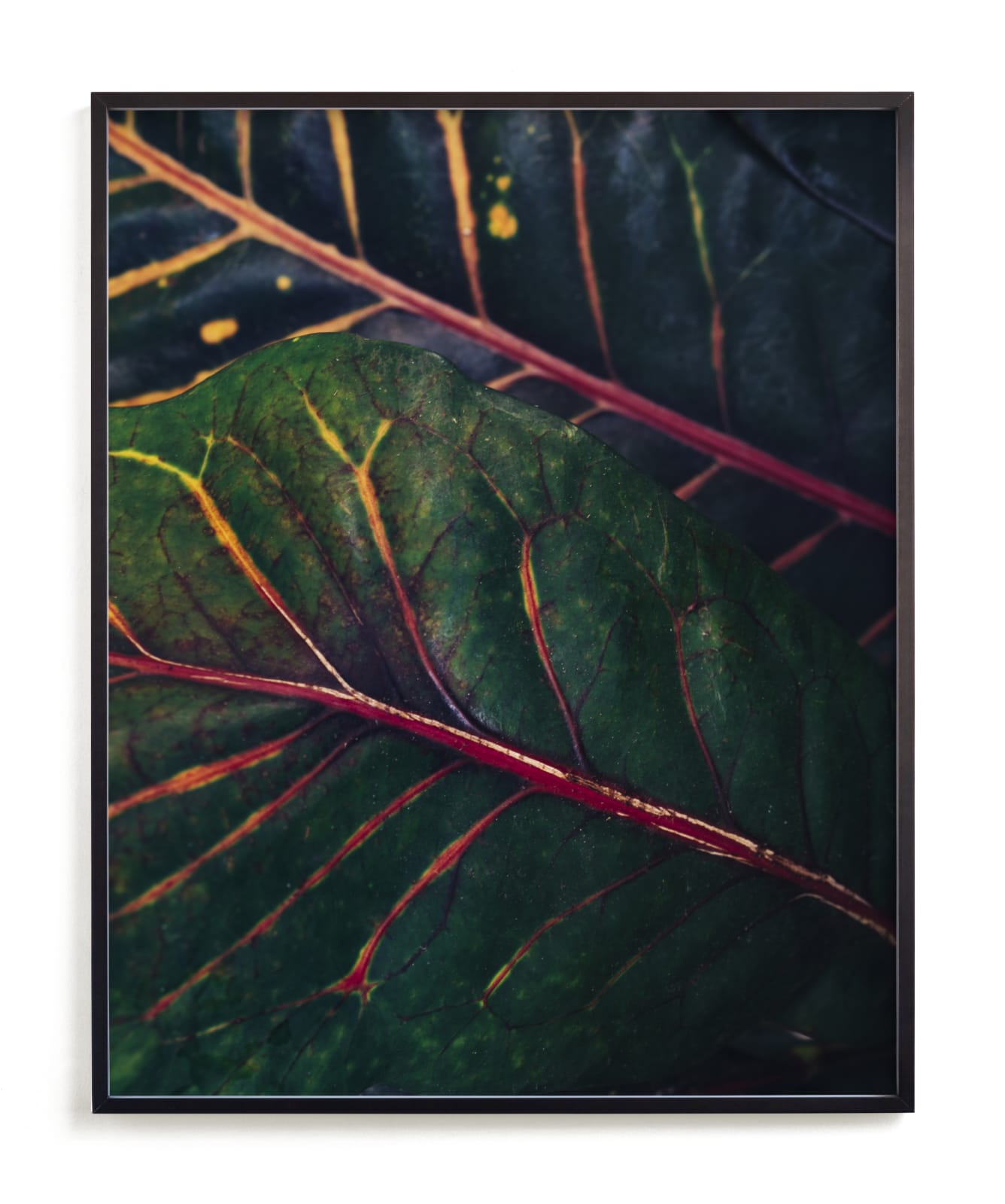 "shaded 3" by Kamala Nahas in beautiful frame options and a variety of sizes.