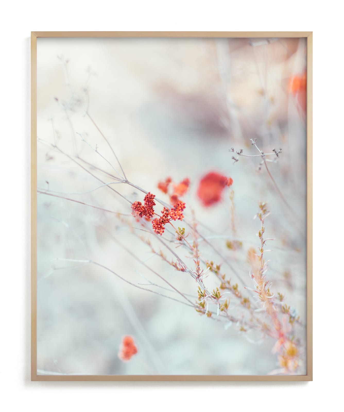 "Native Wildflowers" by Lindsay Ferraris Photography in beautiful frame options and a variety of sizes.
