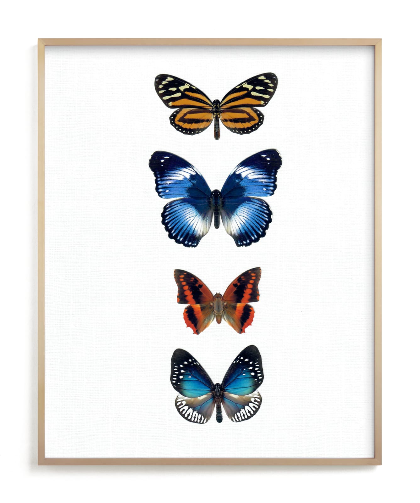 "Fly Away #3" by Kisco Print Shop in beautiful frame options and a variety of sizes.