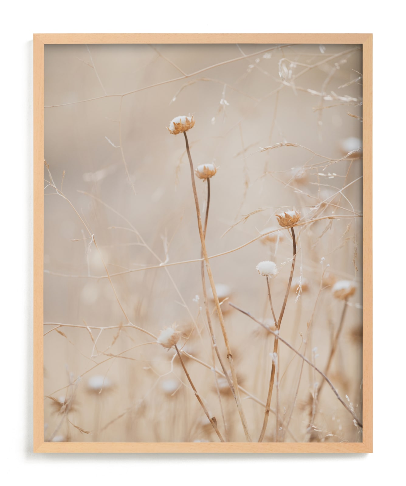 "winter thistle no.1" by Crystal Lynn Collins in beautiful frame options and a variety of sizes.