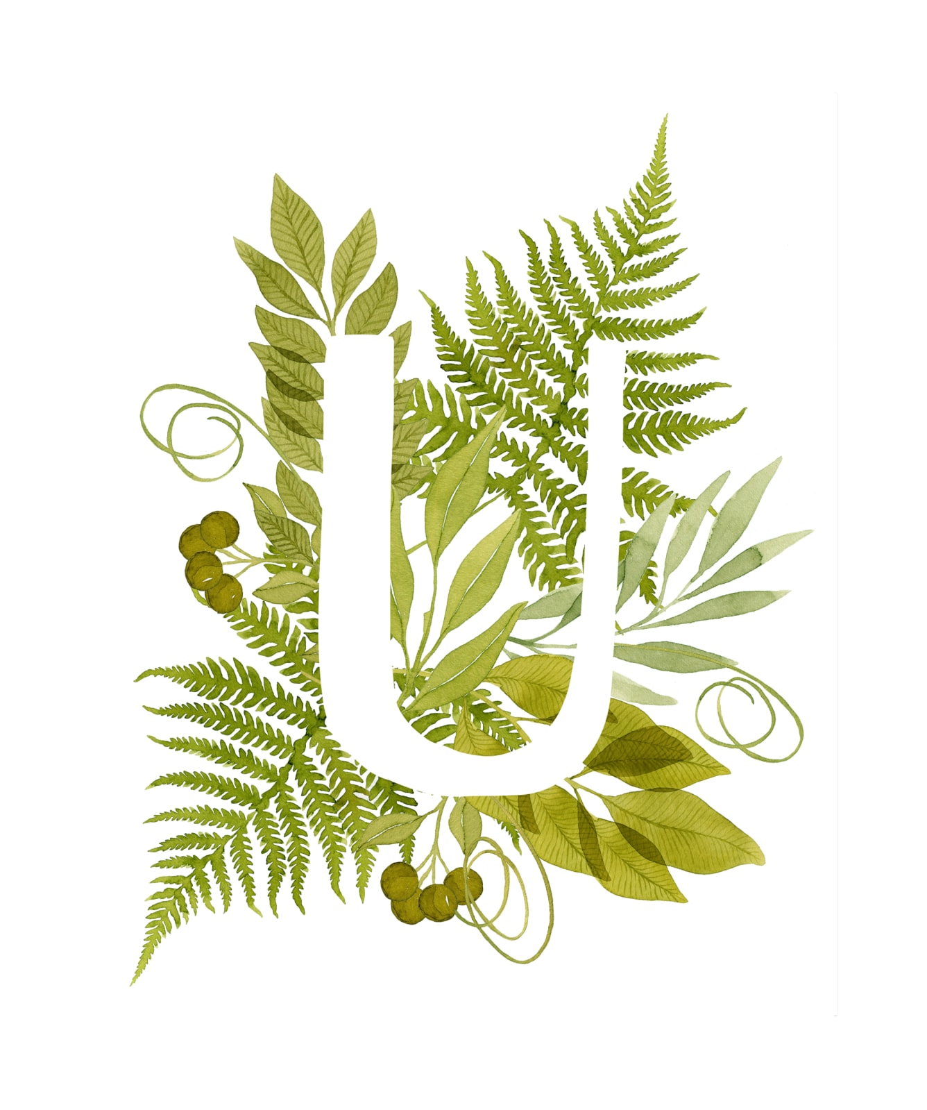 "Floral Monogram with Fern. Letter U" by Helga Wigandt in beautiful frame options and a variety of sizes.