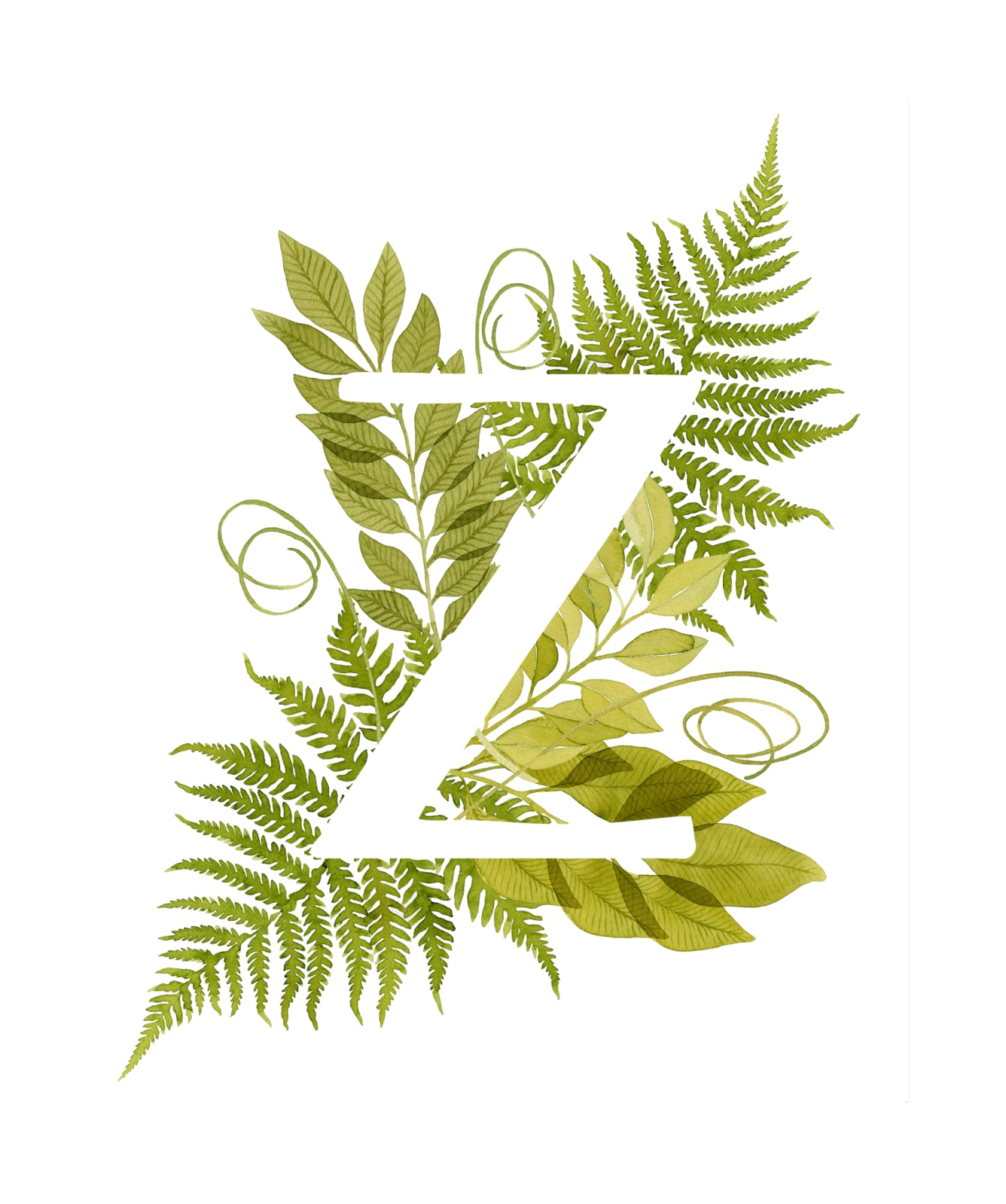 "Floral Monogram with Fern. Letter Z" by Helga Wigandt in beautiful frame options and a variety of sizes.