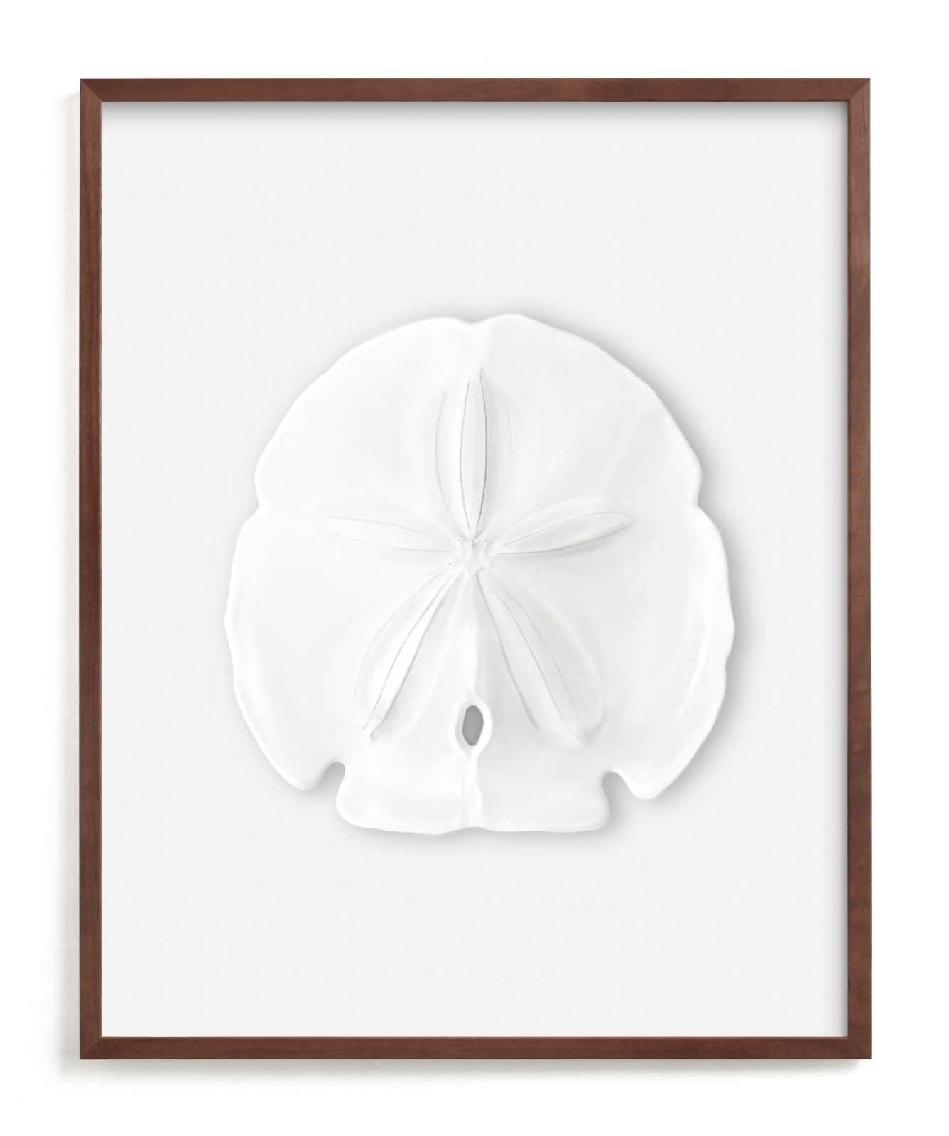 "Modern Sand Dollar" by Artsy Canvas Girl Designs in beautiful frame options and a variety of sizes.