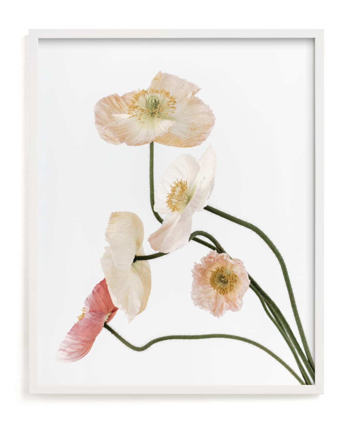 "Poppies II" - Limited Edition Art Print by Blustery August in beautiful frame options and a variety of sizes.