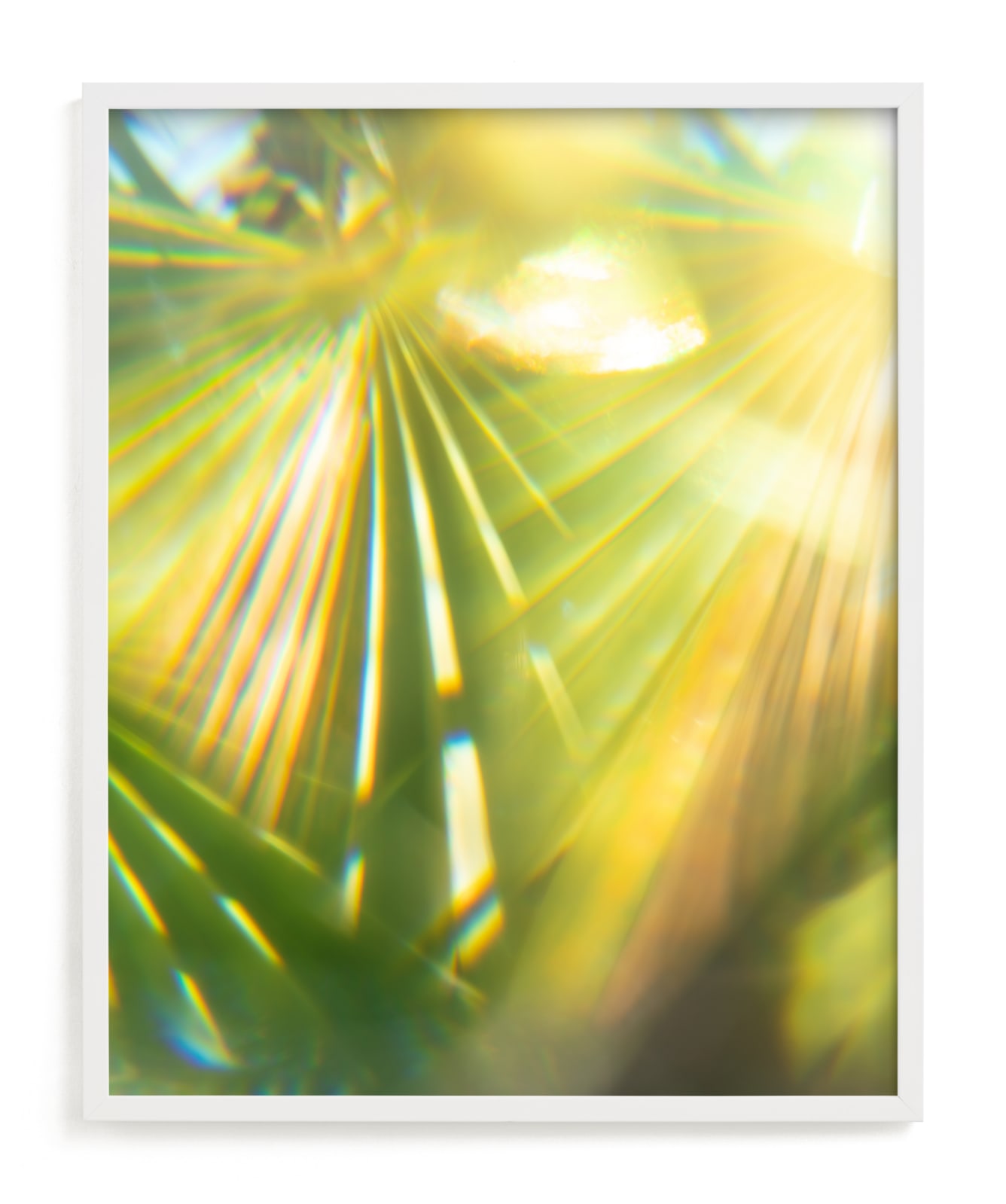 "Palm Fronds" - Limited Edition Art Print by Tommy Kwak in beautiful frame options and a variety of sizes.
