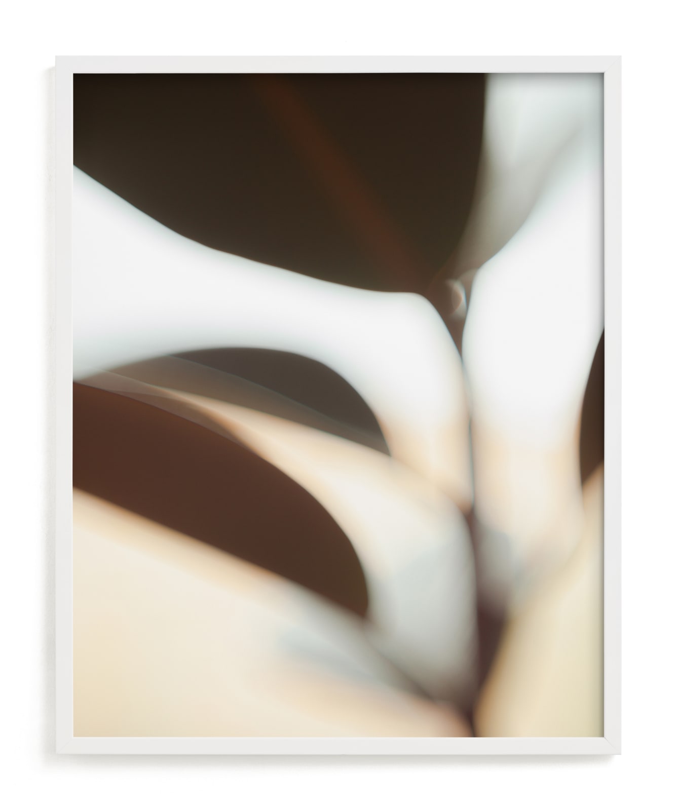 "ficus I" - Limited Edition Art Print by Anastasia Makarova in beautiful frame options and a variety of sizes.