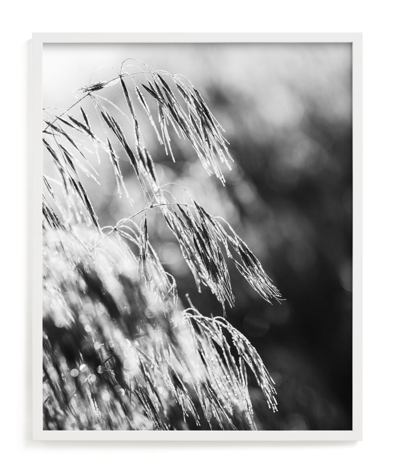 "Dancing grass II" - Limited Edition Art Print by Magdalena Kucova in beautiful frame options and a variety of sizes.