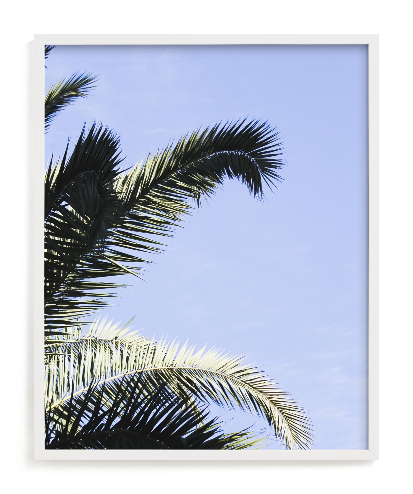 "Palm II" - Limited Edition Art Print by Annie Montgomery in beautiful frame options and a variety of sizes.