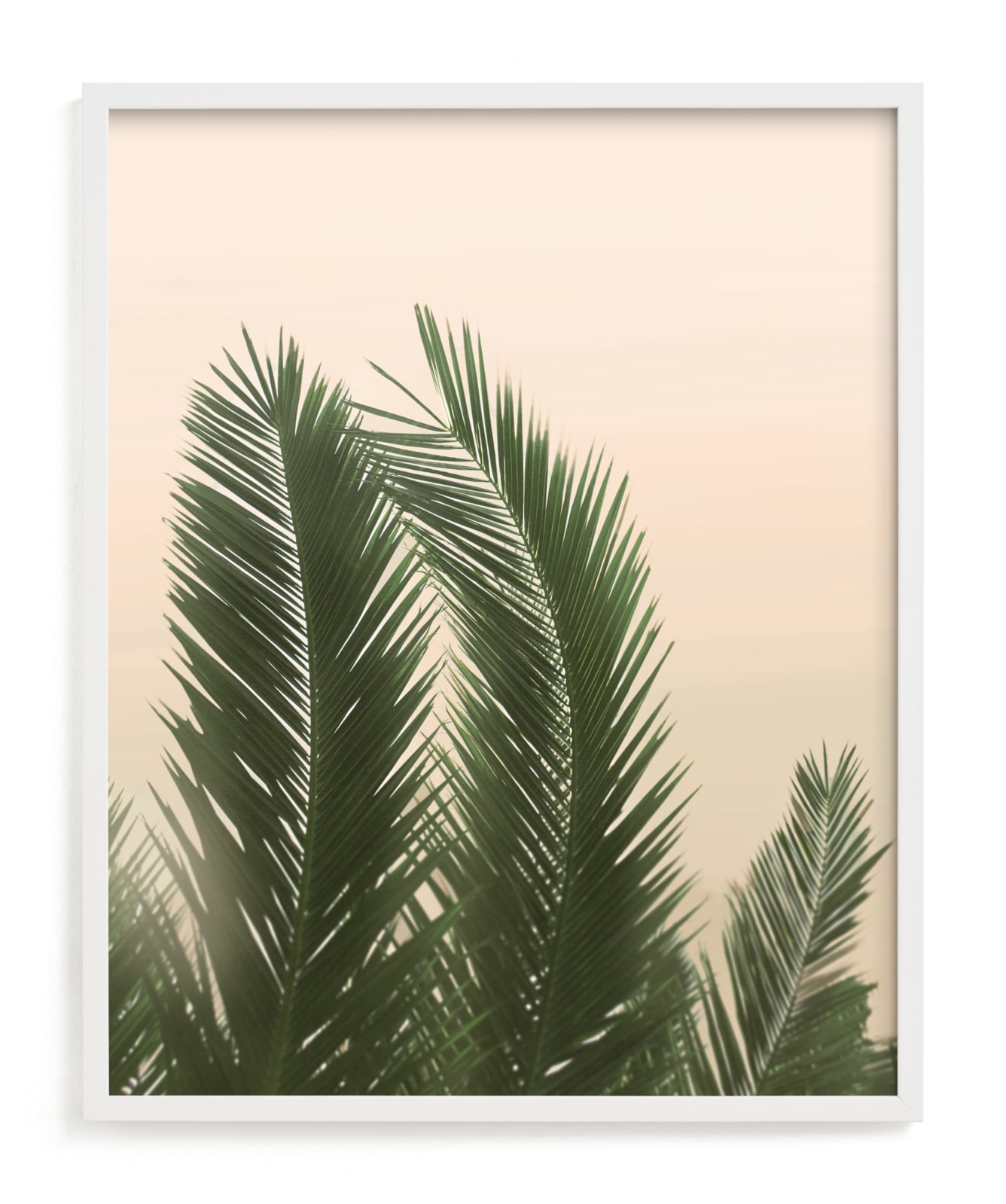 "Tropical Palm Tree" - Limited Edition Art Print by Wilder California in beautiful frame options and a variety of sizes.