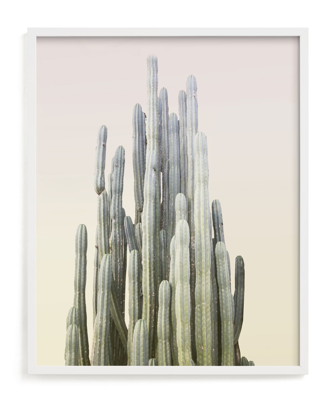 "Summer Yellow Cactus" - Limited Edition Art Print by Wilder California in beautiful frame options and a variety of sizes.