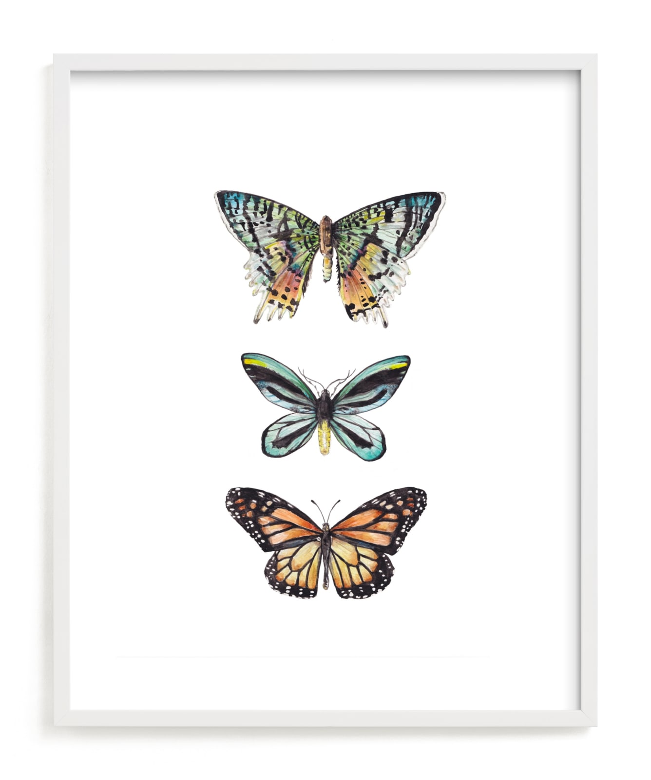 "Butterfly Colorful Watercolors" - Limited Edition Art Print by Lauren Rogoff in beautiful frame options and a variety of sizes.