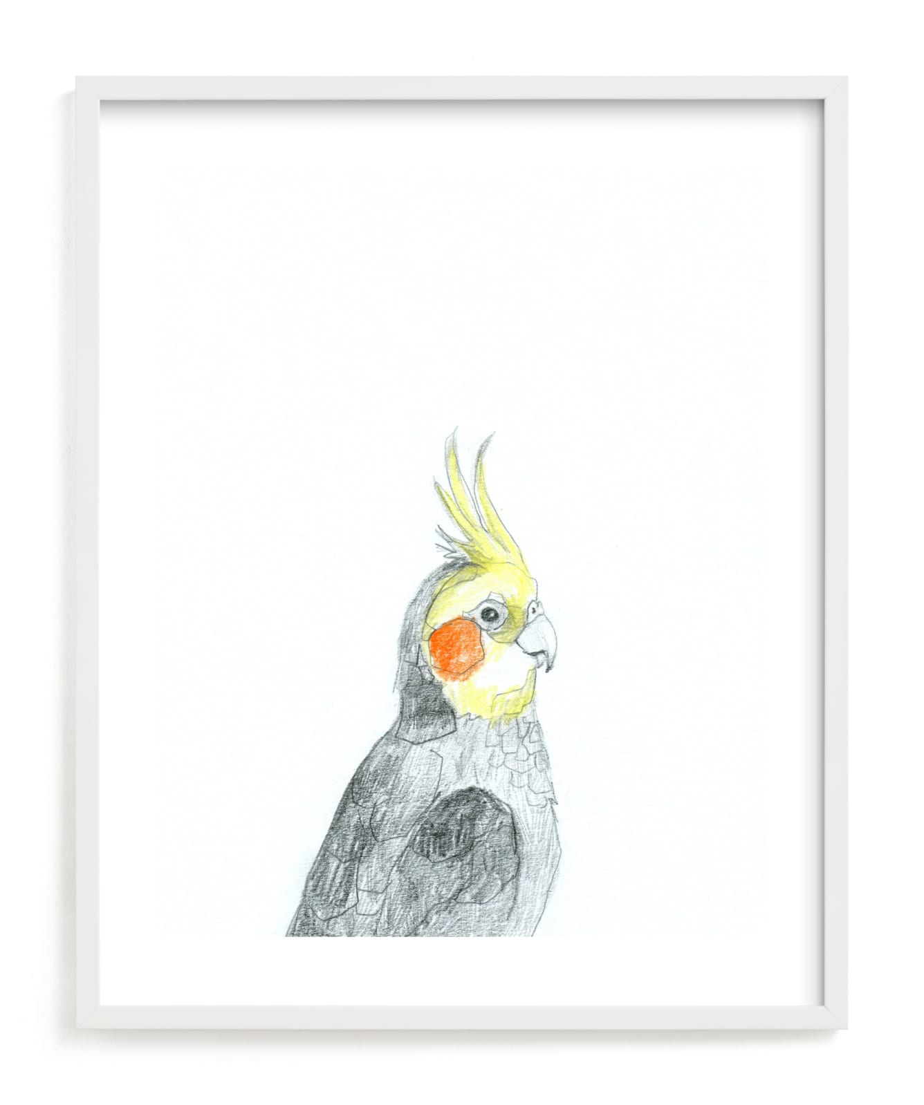 "Cockatiel" - Limited Edition Art Print by Kirsta Benedetti in beautiful frame options and a variety of sizes.