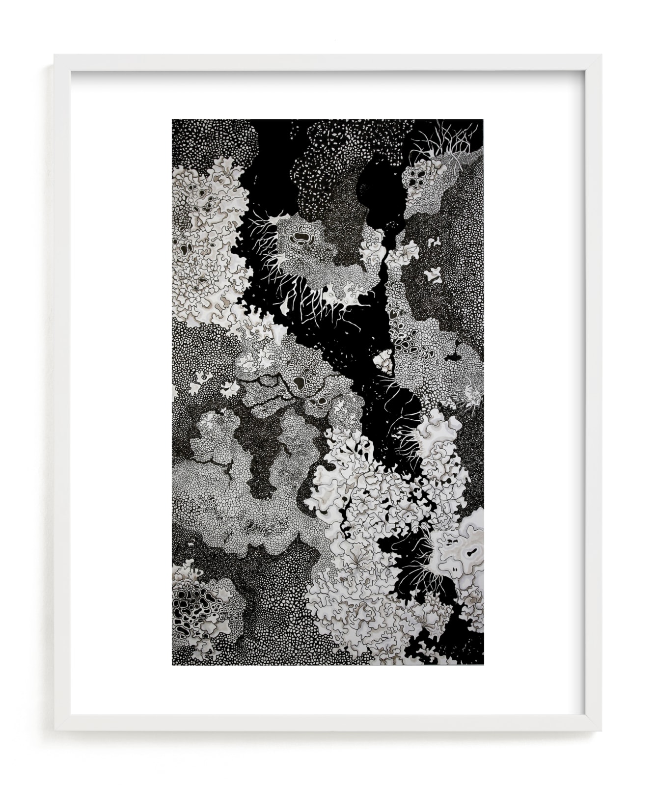 "Lichen Rocks" by Janie Allen in beautiful frame options and a variety of sizes.