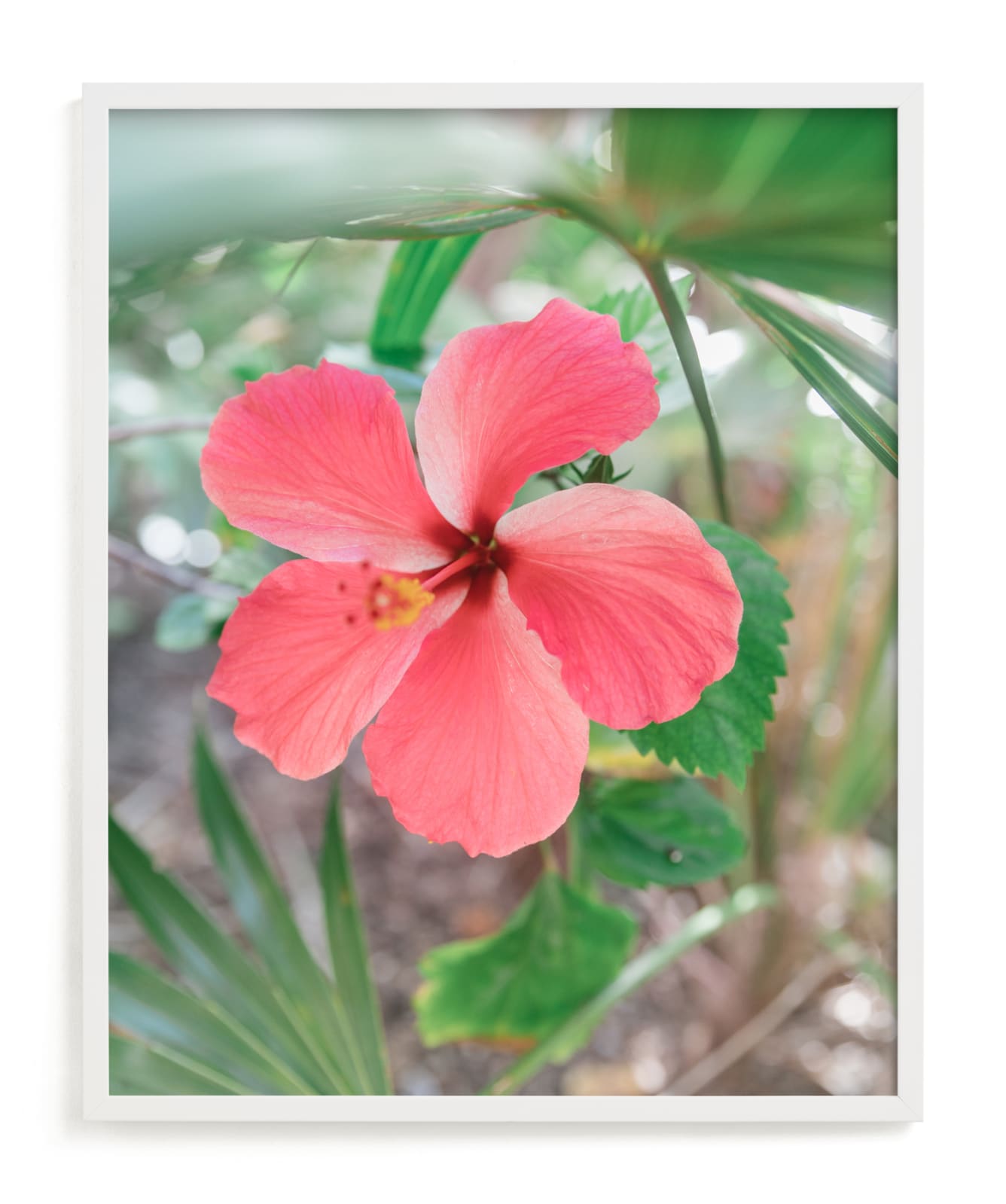 Yucatan VIII