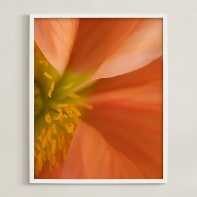 "poppy 1" - Art Print in poppy by Crystal Lynn Collins - Framed
