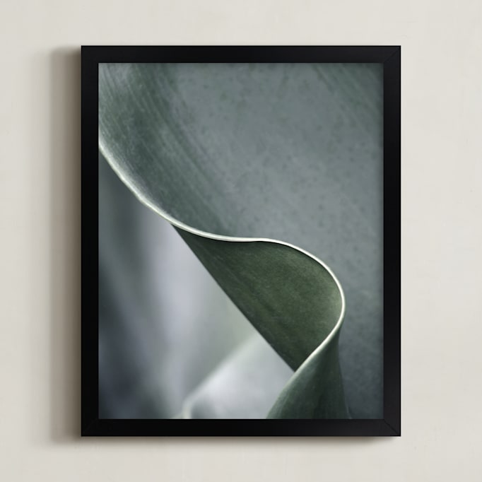 Botanic 3