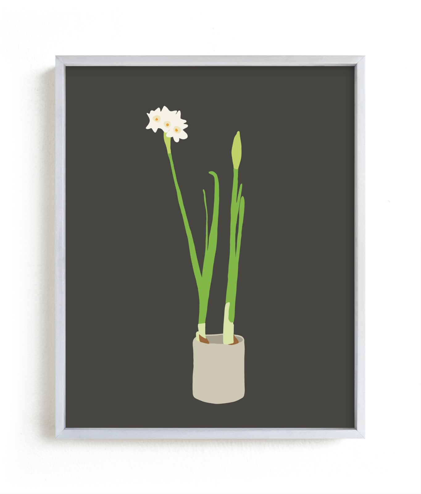 "Paperwhites" - Limited Edition Art Print by Jorey Hurley in beautiful frame options and a variety of sizes.